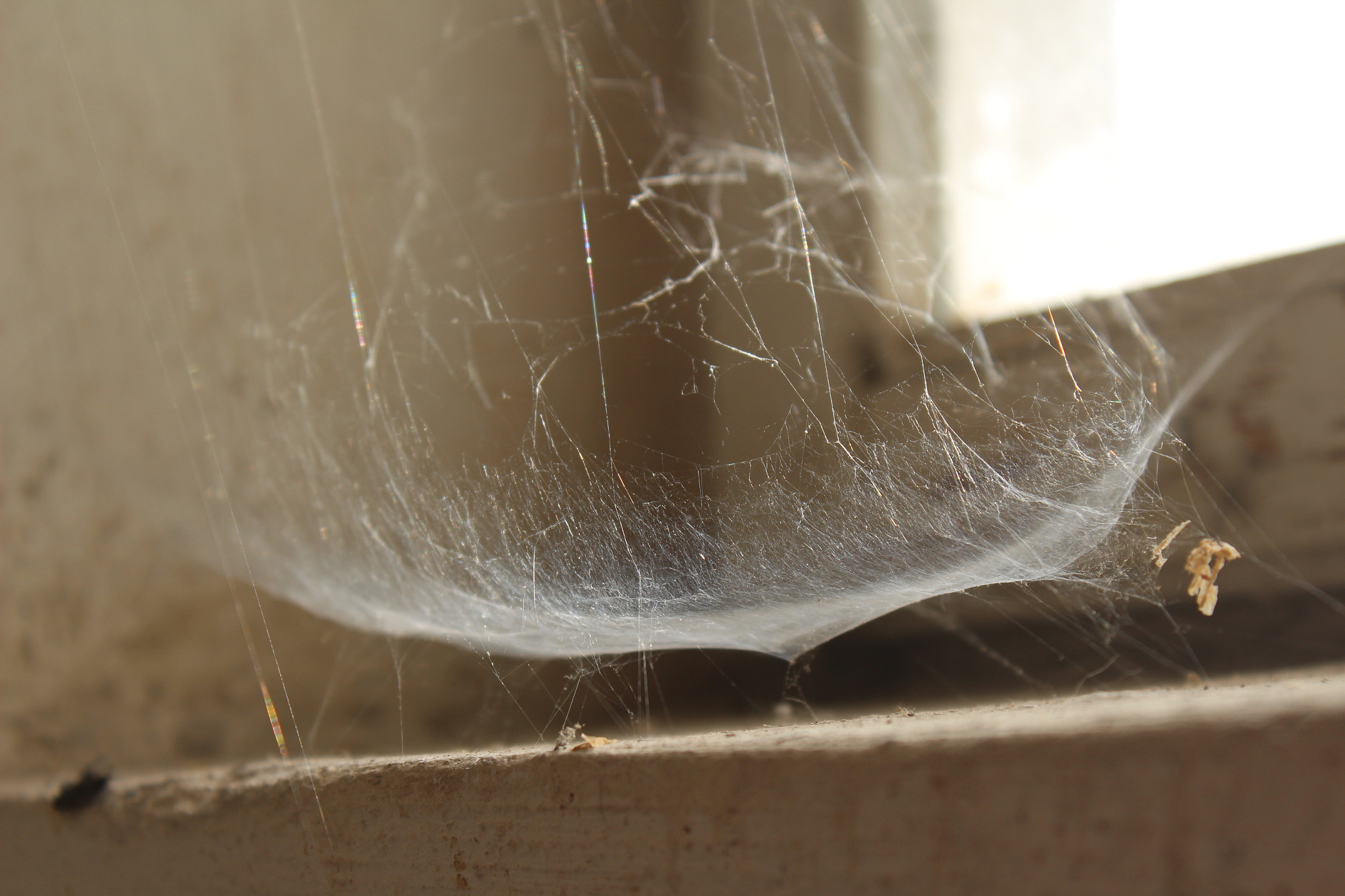 web on the floor