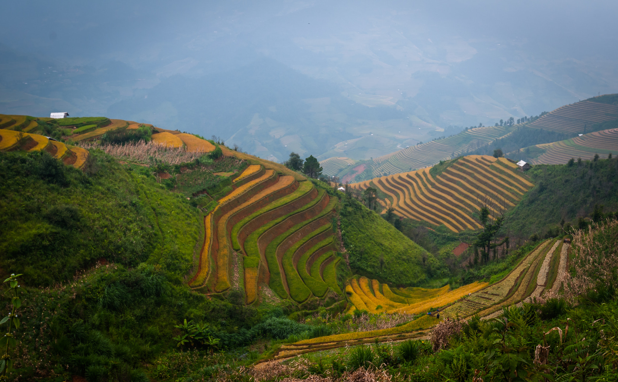 Nikon D300S sample photo. Early morning in the mountain photography