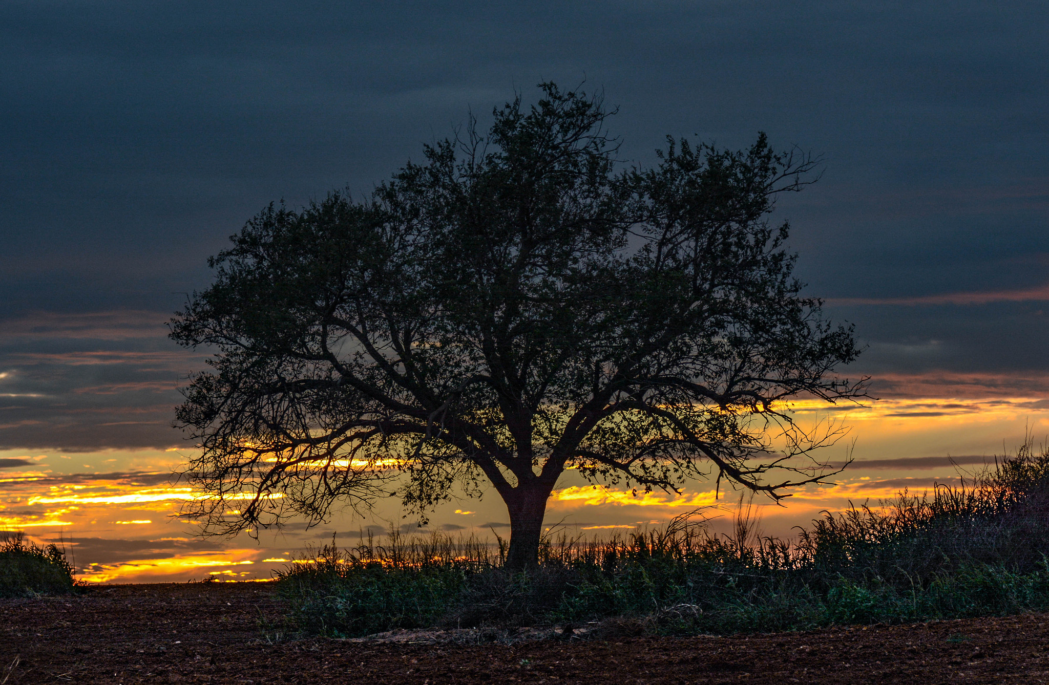 Nikon D7100 sample photo. Sunset on the texas plains photography