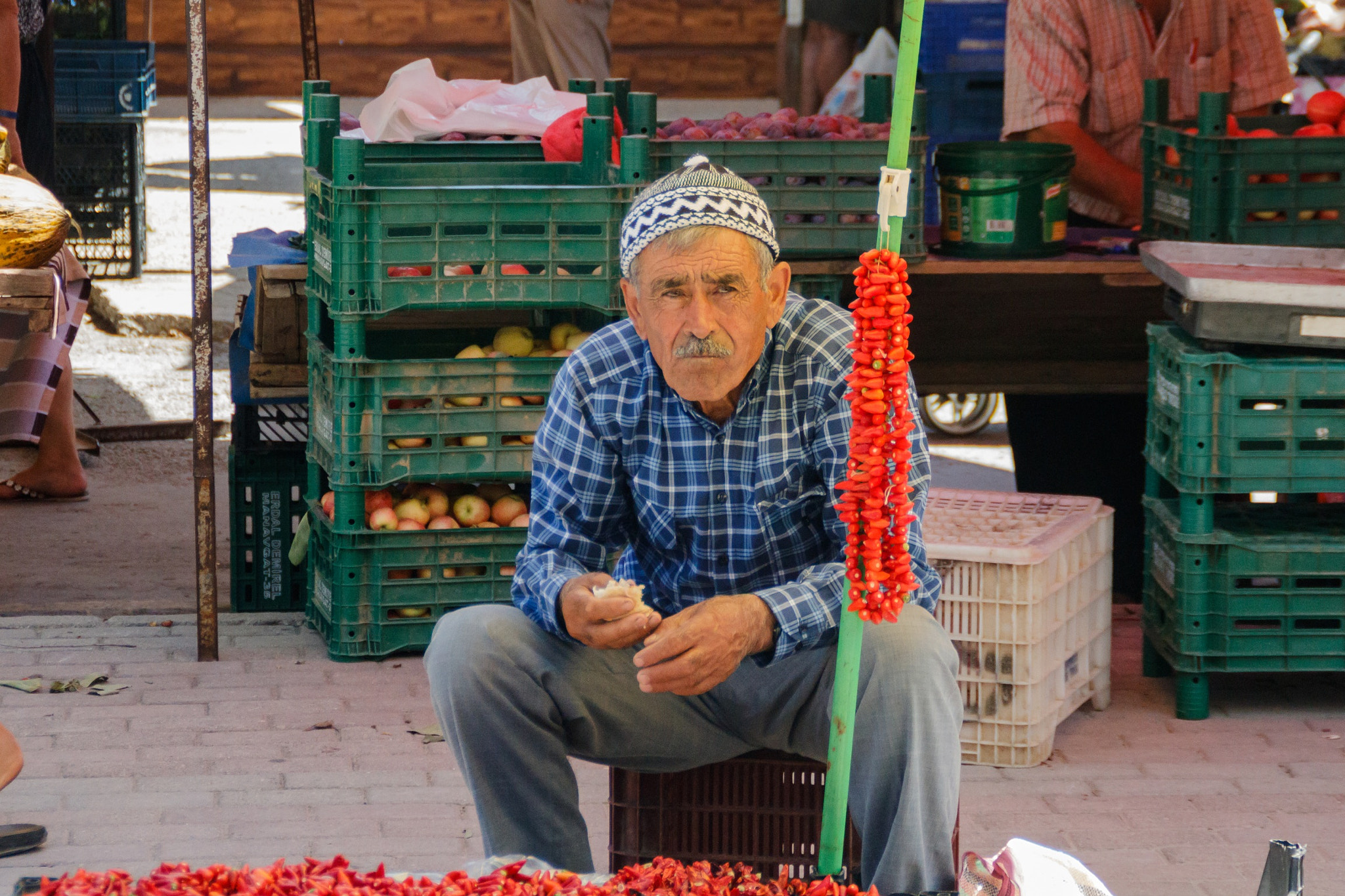 Canon EOS 750D (EOS Rebel T6i / EOS Kiss X8i) sample photo. In the streets of:turkey/manavgat photography