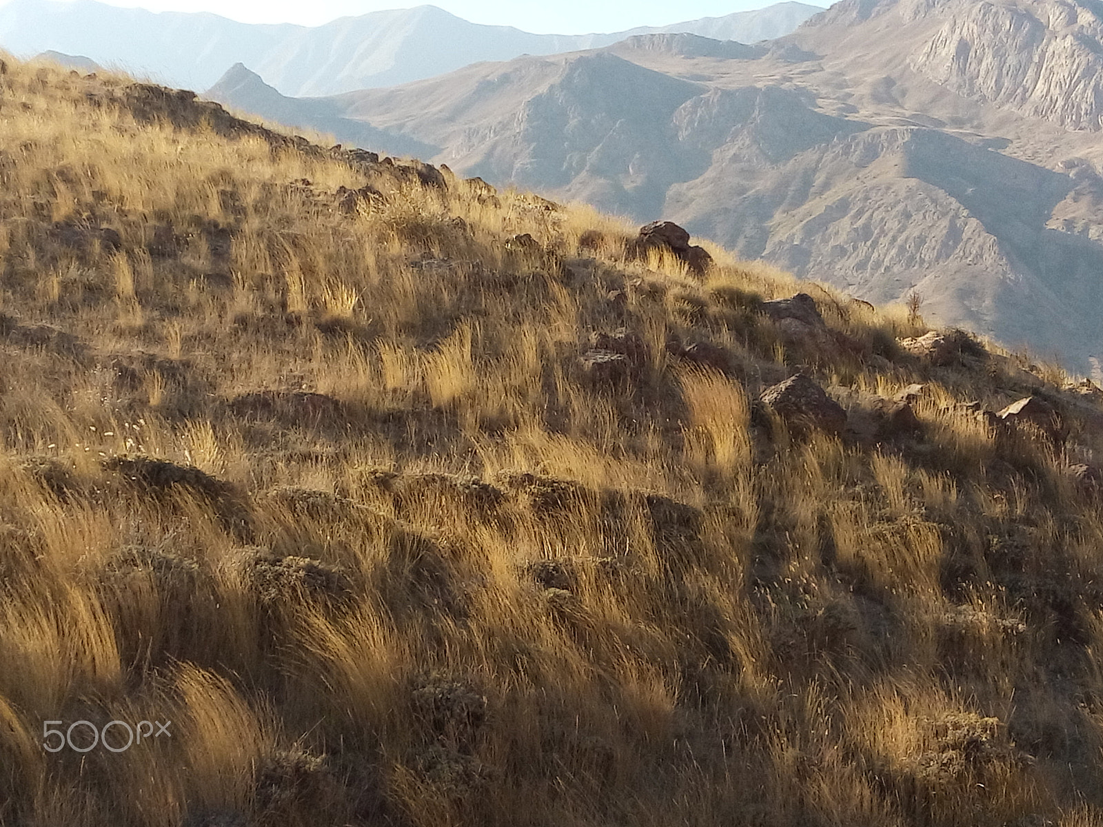 LG L Bello sample photo. Autumn wind photography