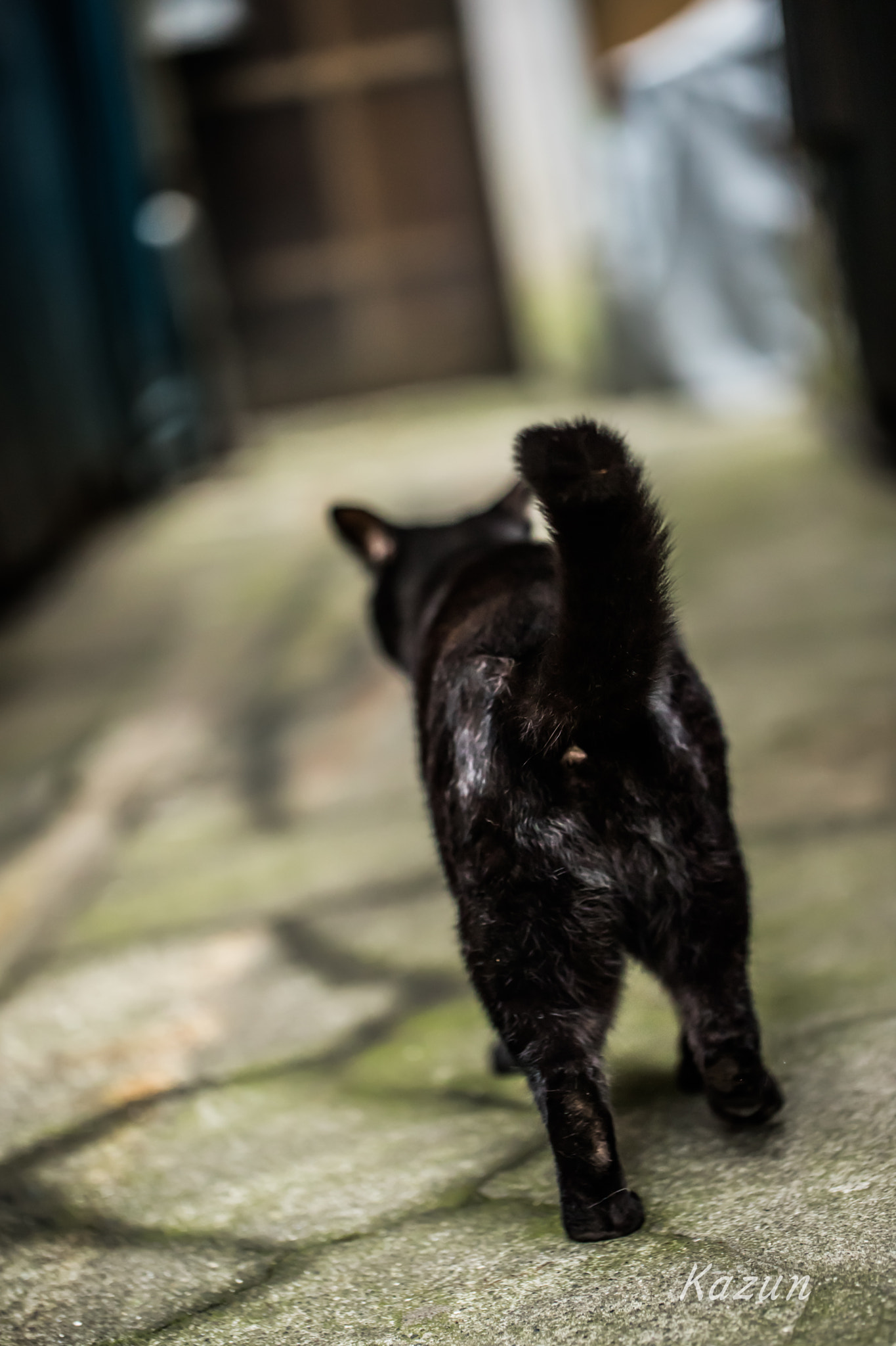 Canon EF 100mm F2.8L Macro IS USM sample photo. Love photography