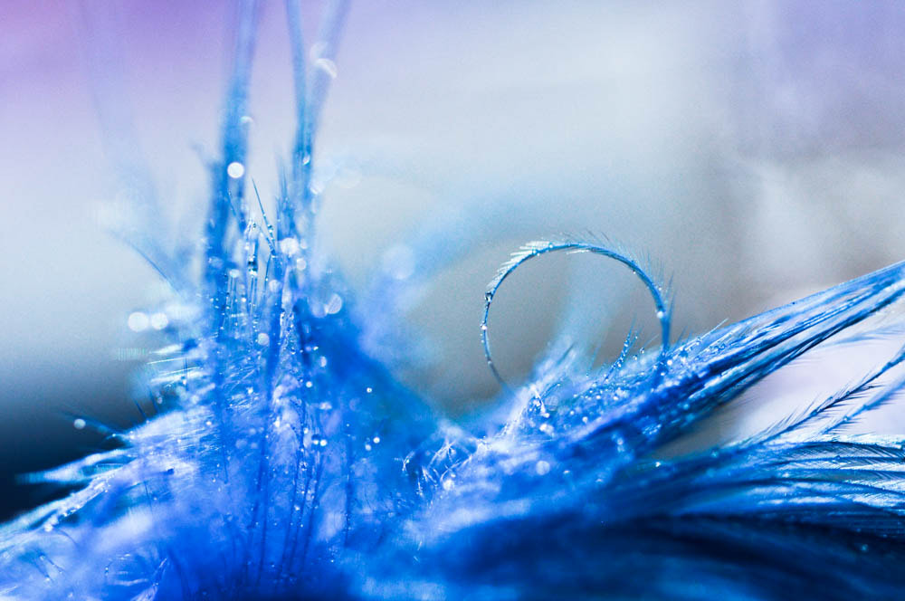 Nikon D5000 sample photo. Magic photography