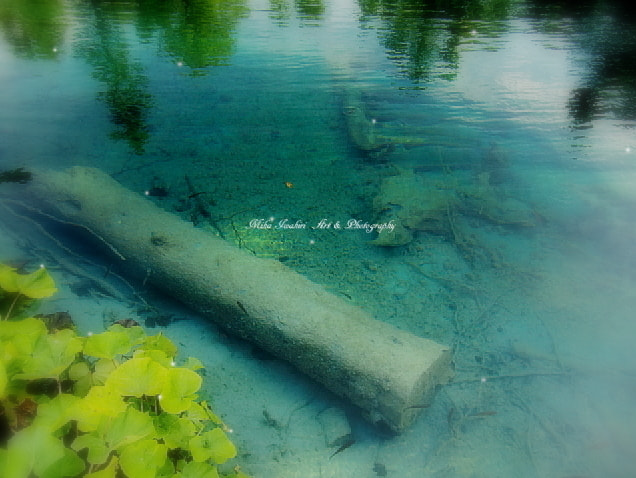 CASIO EX-H10 sample photo. Silence of september photography