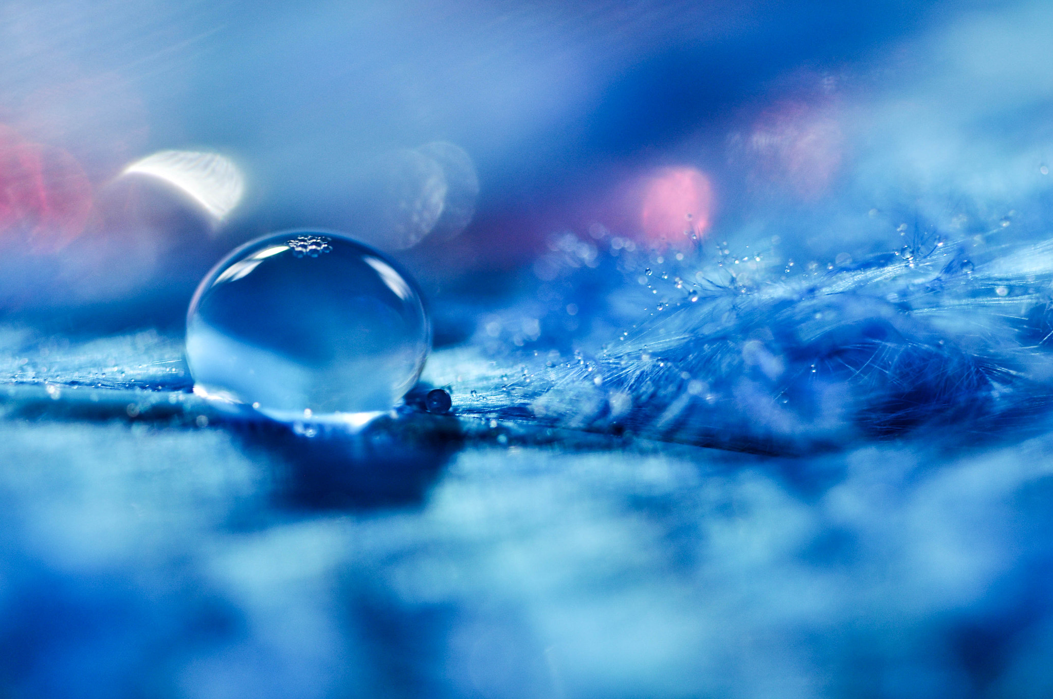 Nikon D5000 sample photo. Bokeh photography