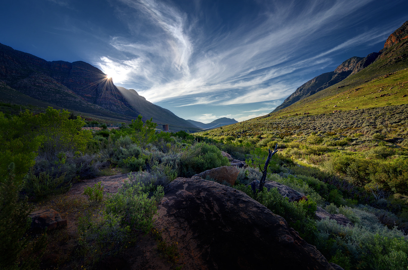 Nikon Df sample photo. End of day in the valley . . . photography