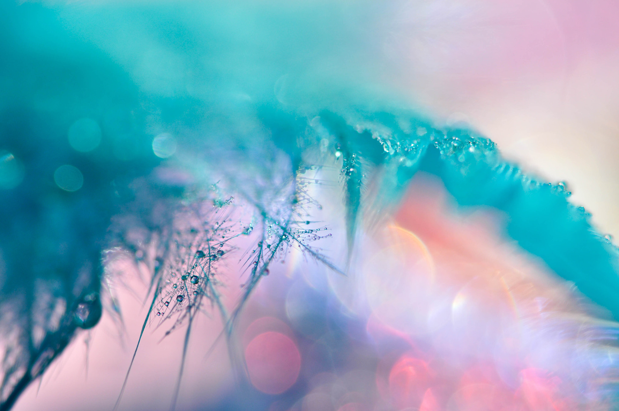 Nikon D5000 sample photo. Light photography