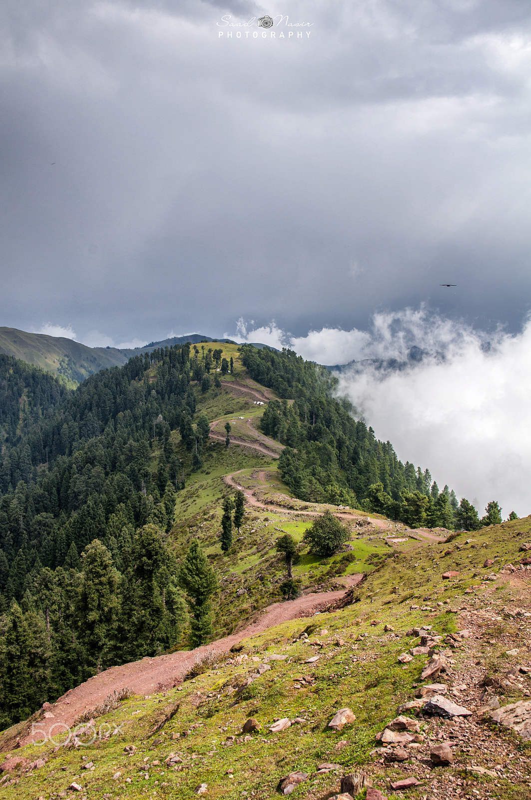 Sigma 17-50mm F2.8 EX DC OS HSM sample photo. Peer chanasi photography