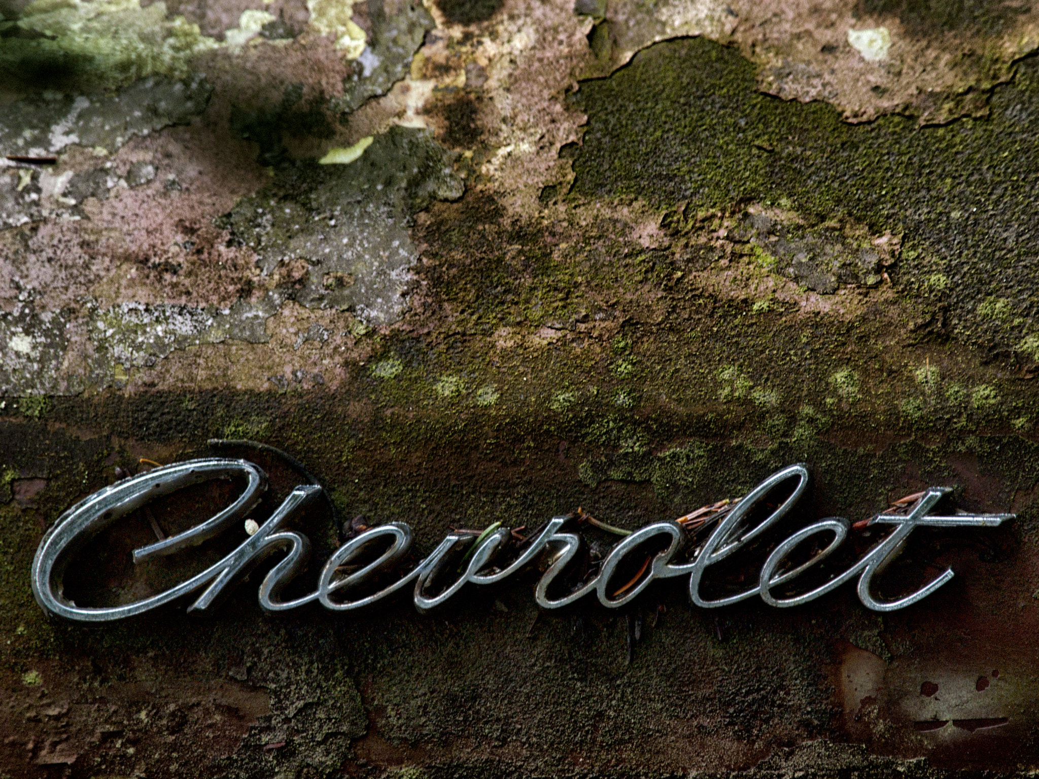 Olympus E-30 sample photo. Chevrolet photography