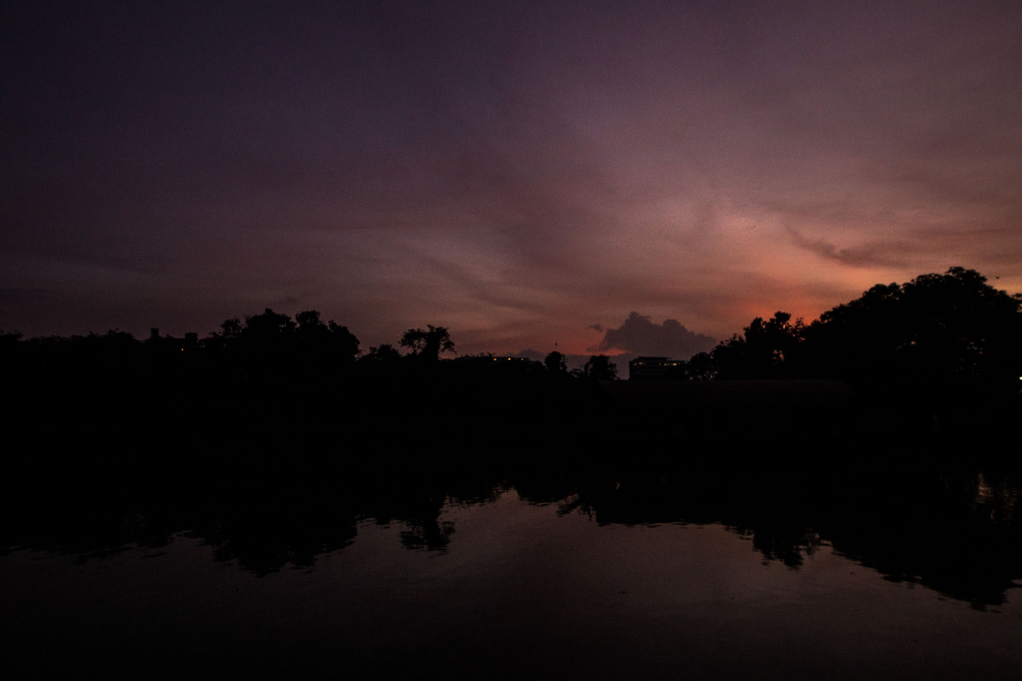 Nikon D610 sample photo. Rajagiriya lake () photography