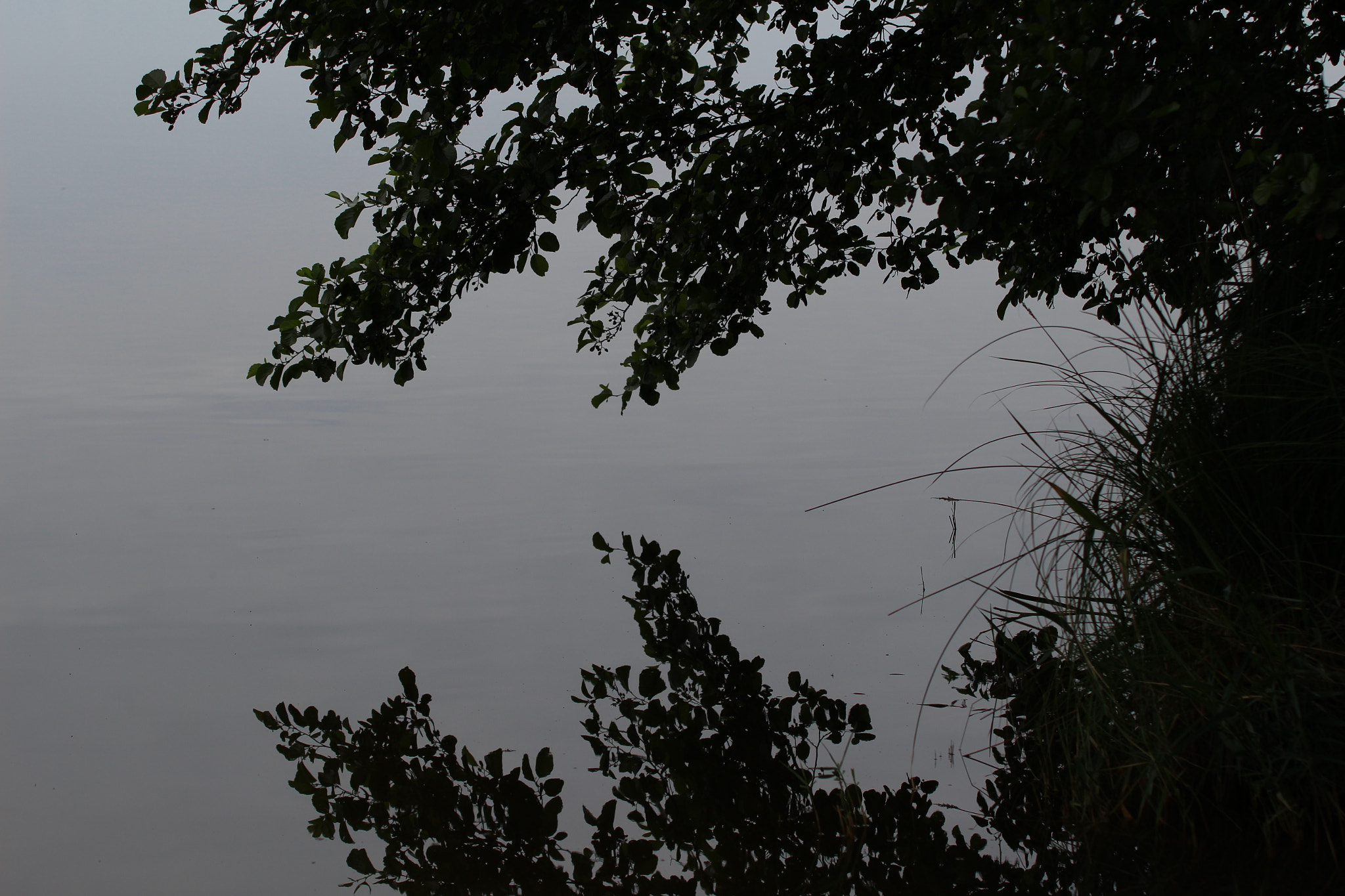 Canon EOS 100D (EOS Rebel SL1 / EOS Kiss X7) sample photo. Black water mirror photography