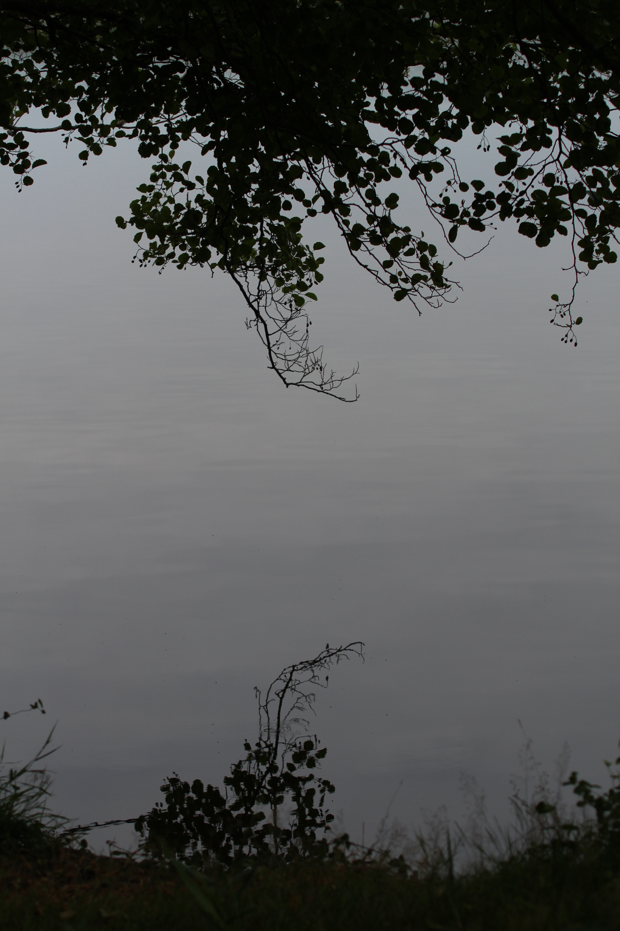 Canon EOS 100D (EOS Rebel SL1 / EOS Kiss X7) sample photo. Black water mirror photography