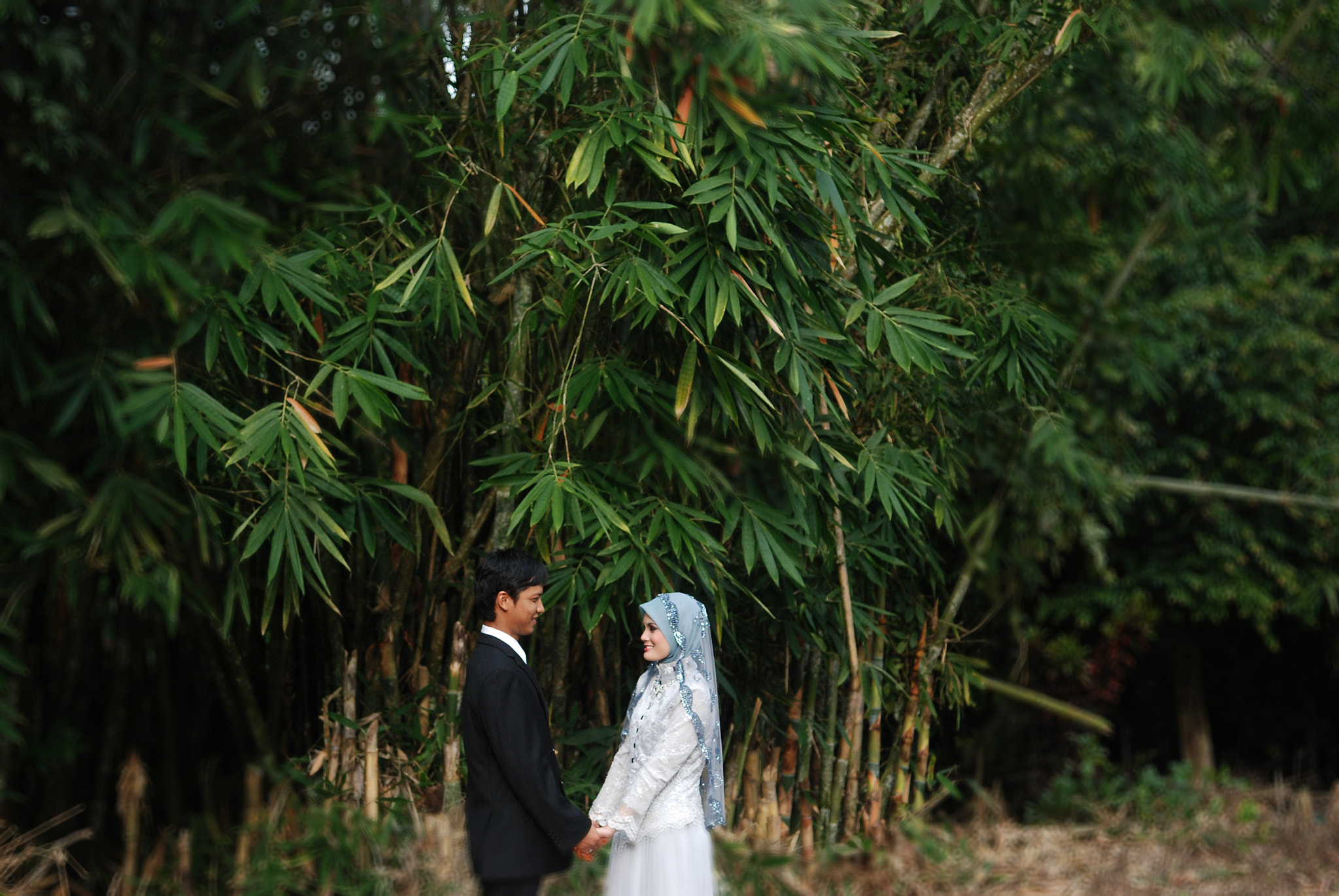 Nikon D80 sample photo. Love photography
