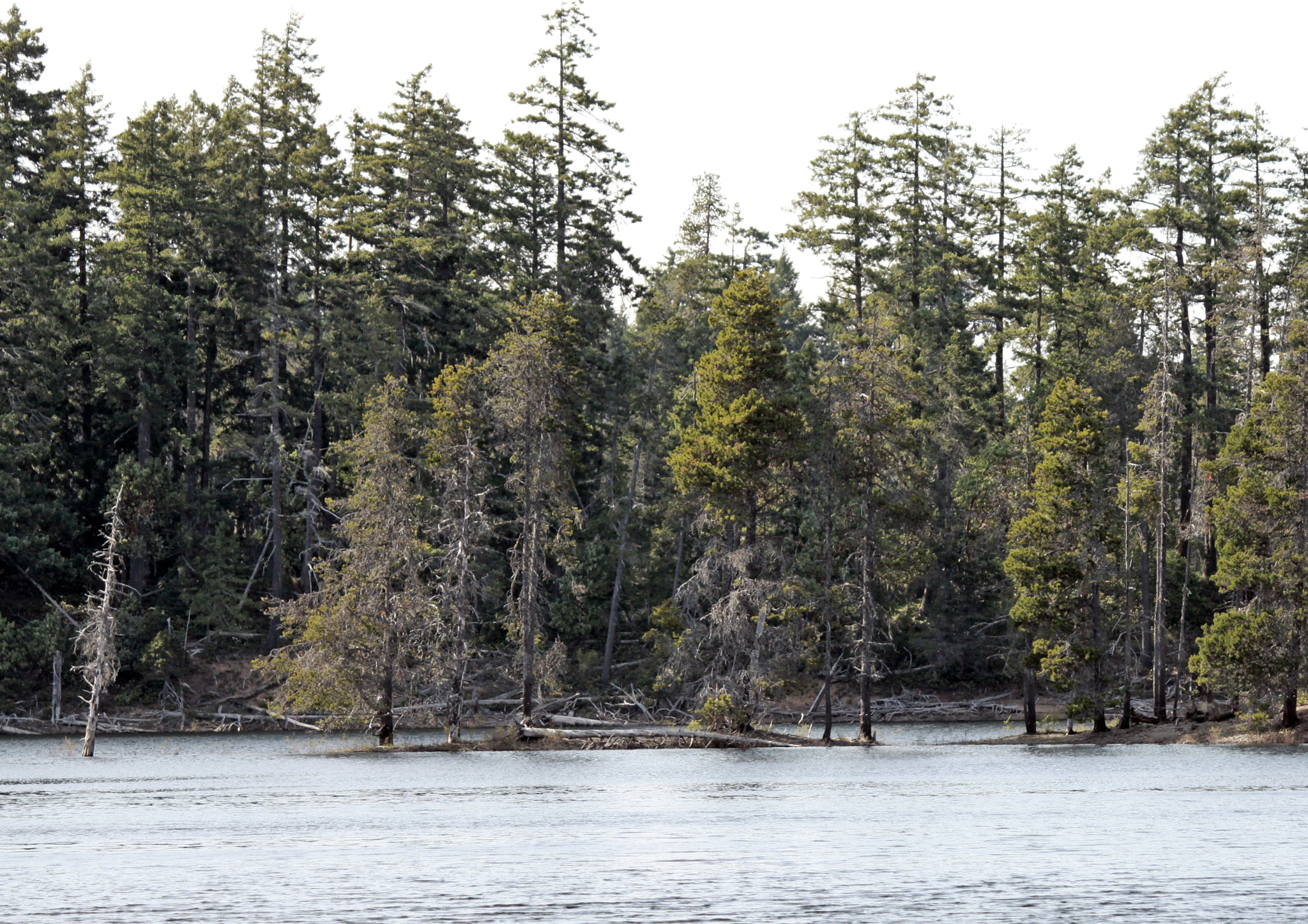 Canon EF-S 55-250mm F4-5.6 IS sample photo. Spider lake photography