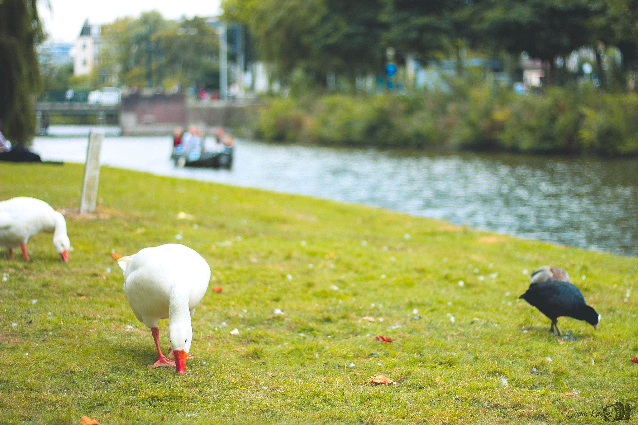 Canon EOS 550D (EOS Rebel T2i / EOS Kiss X4) sample photo. Life like that photography