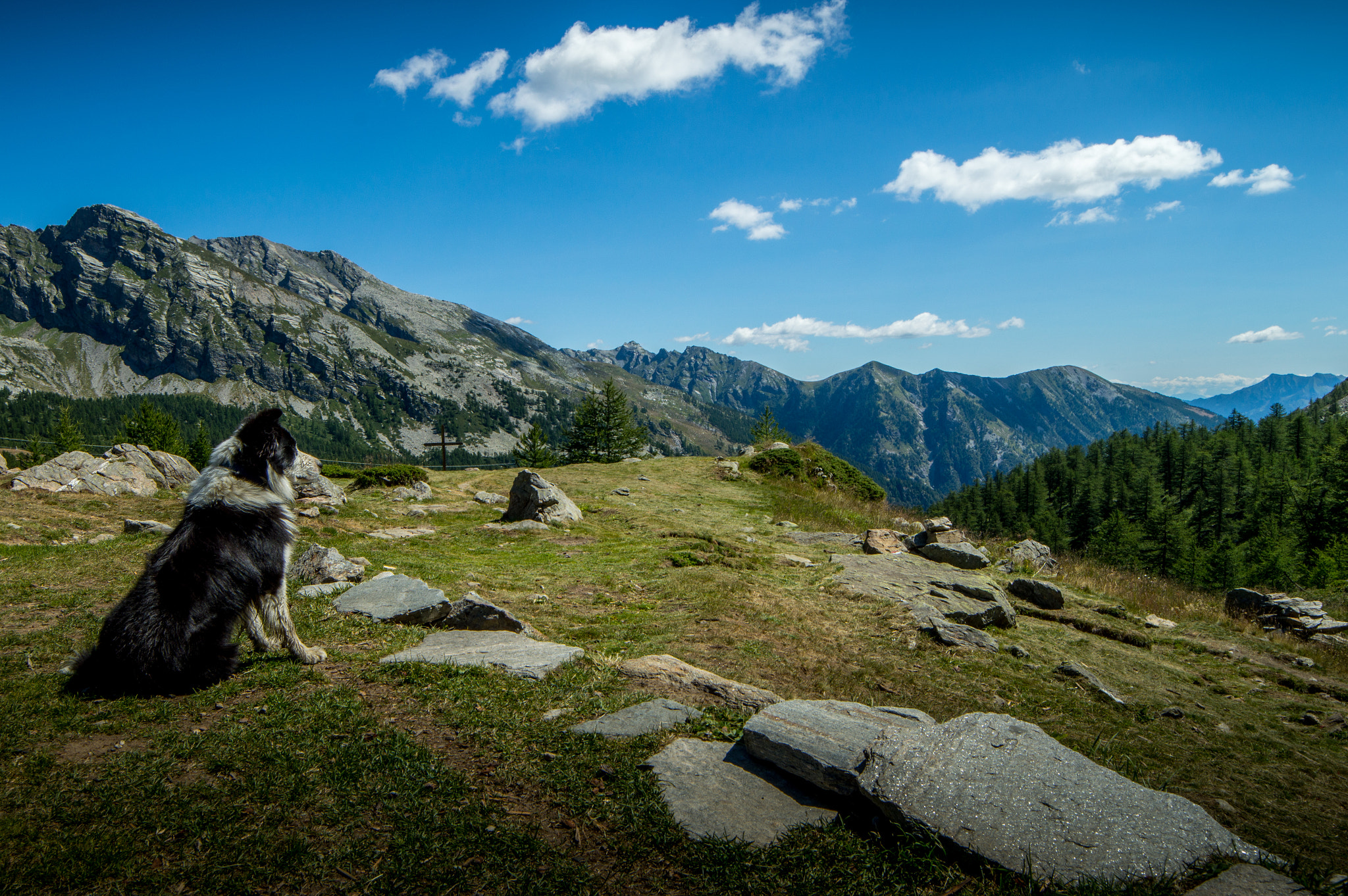 Samyang 14mm F2.8 ED AS IF UMC sample photo. Guarding the alps photography