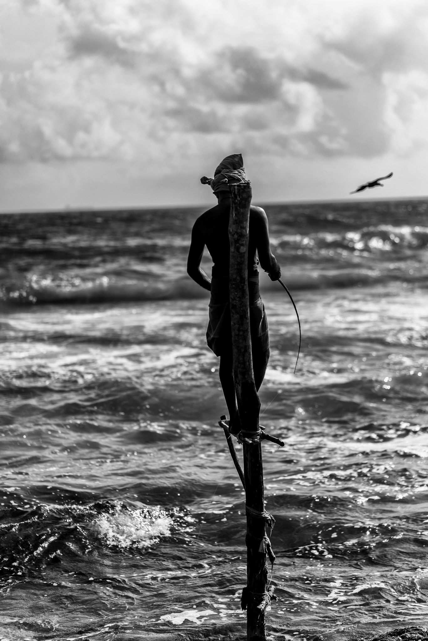 Sony a7R + ZEISS Batis 85mm F1.8 sample photo. Triple fish photography
