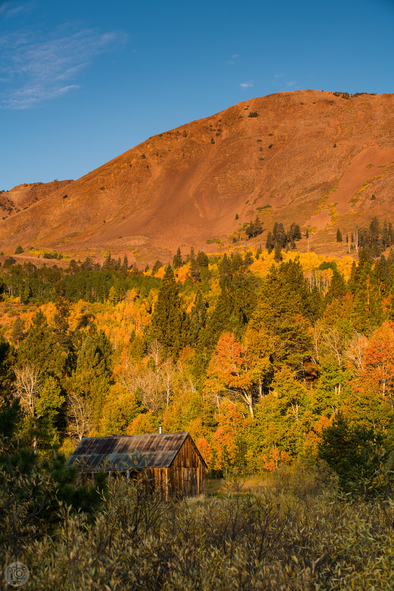 Canon EF 70-200mm F2.8L IS II USM sample photo. Lonely fall light photography