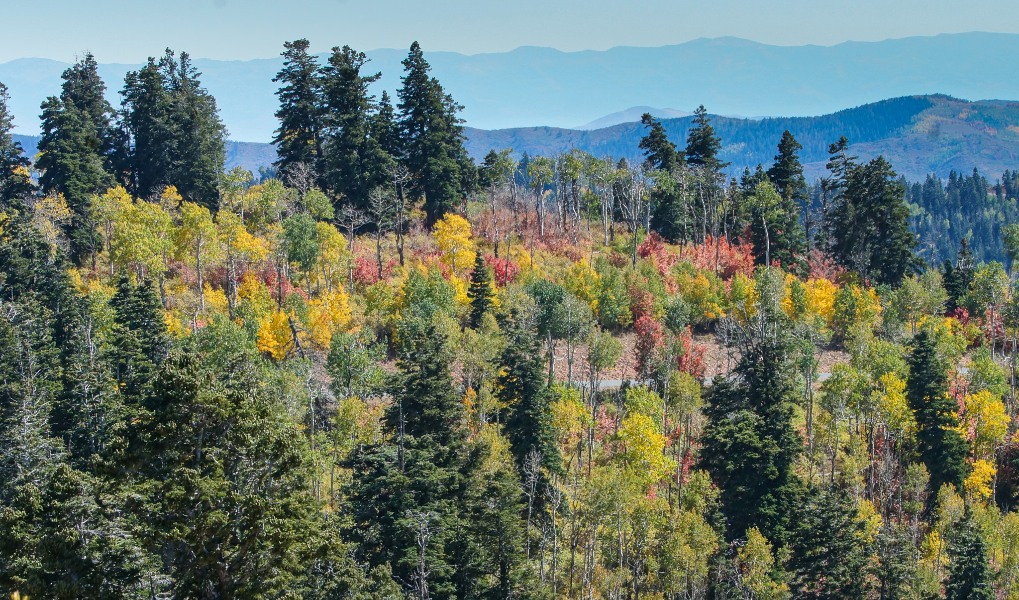 Sony SLT-A77 + Sony 70-400mm F4-5.6 G SSM sample photo. Nebo scenic byway-5 photography