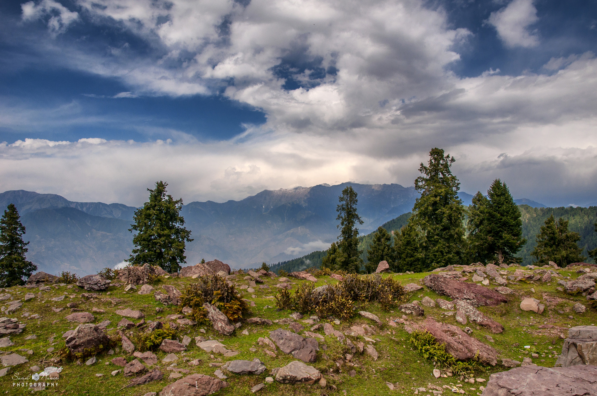 Sigma 17-50mm F2.8 EX DC OS HSM sample photo. Peer chanasi photography