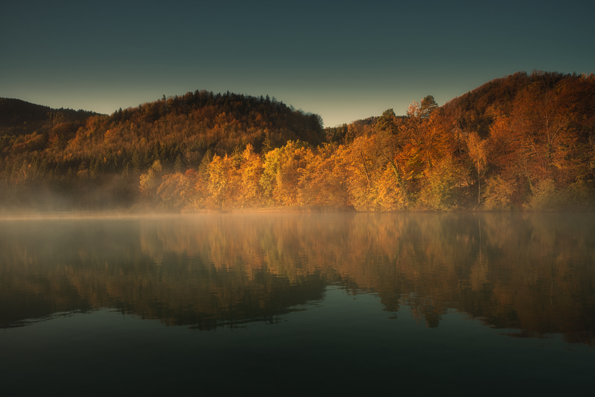 AF Zoom-Nikkor 24-120mm f/3.5-5.6D IF sample photo. Herbstafarben am fuschlsee photography