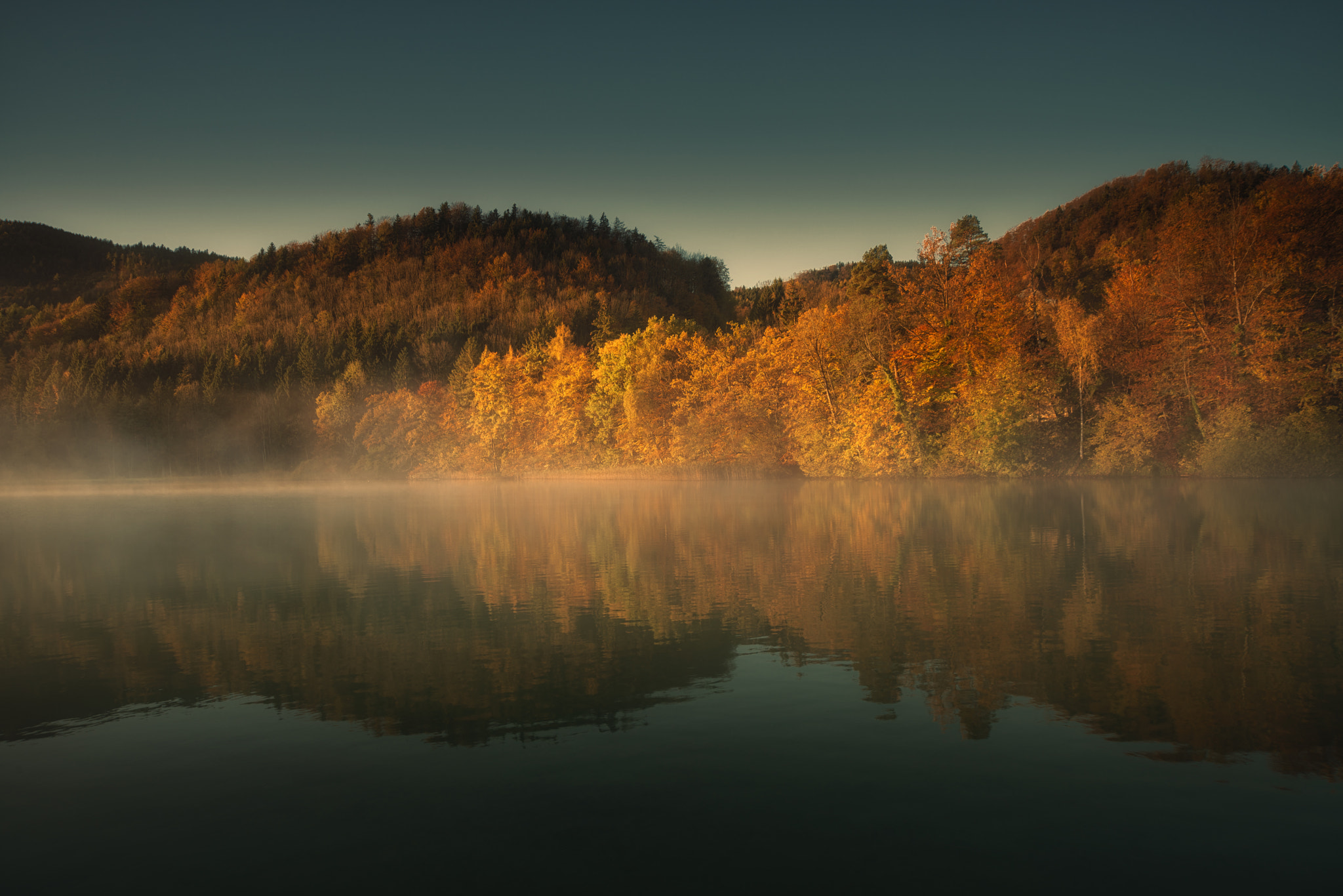 Nikon D800 + AF Zoom-Nikkor 24-120mm f/3.5-5.6D IF sample photo. Herbstafarben am fuschlsee photography