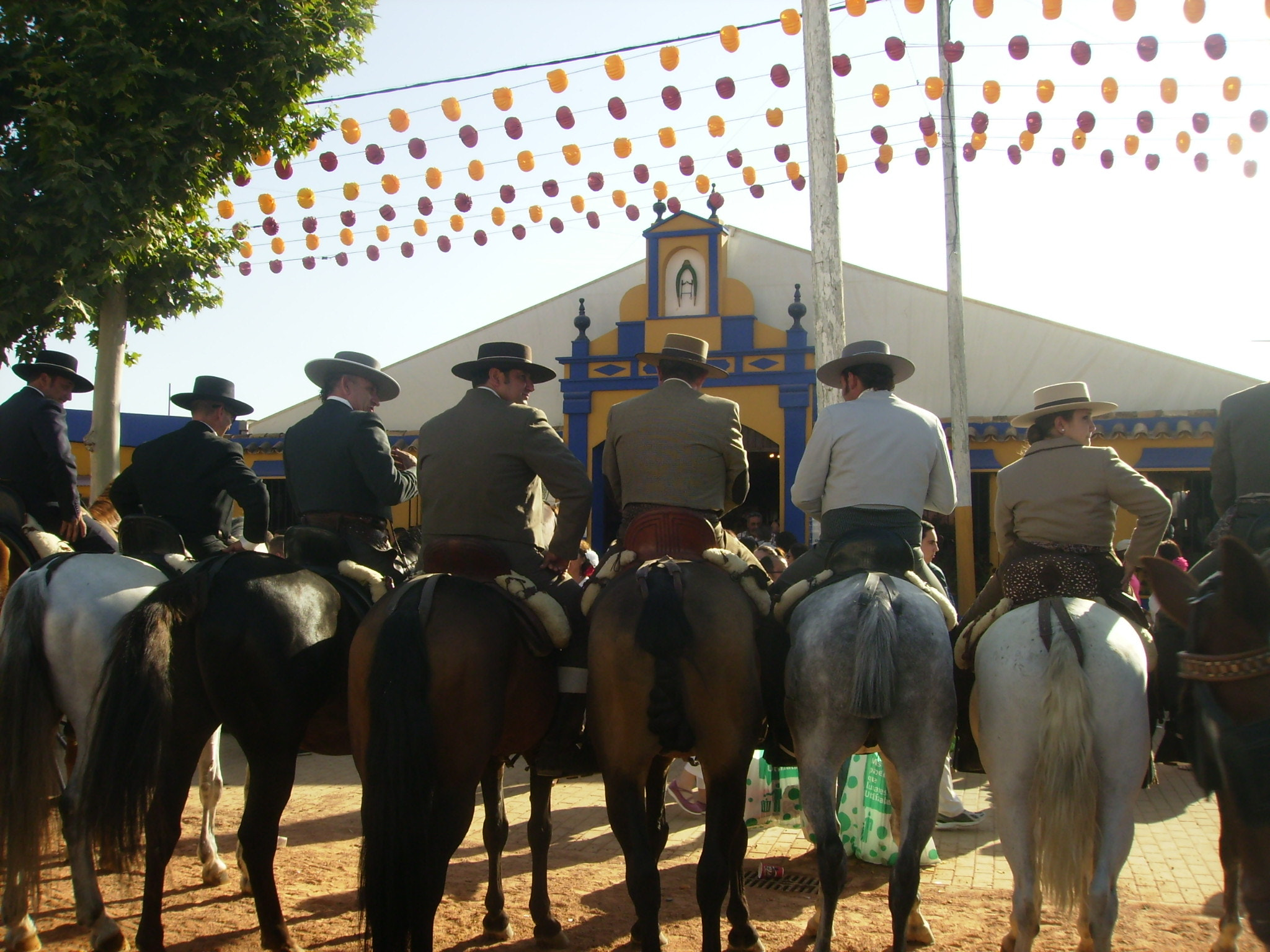 Olympus FE150,X730 sample photo. Caballistas photography