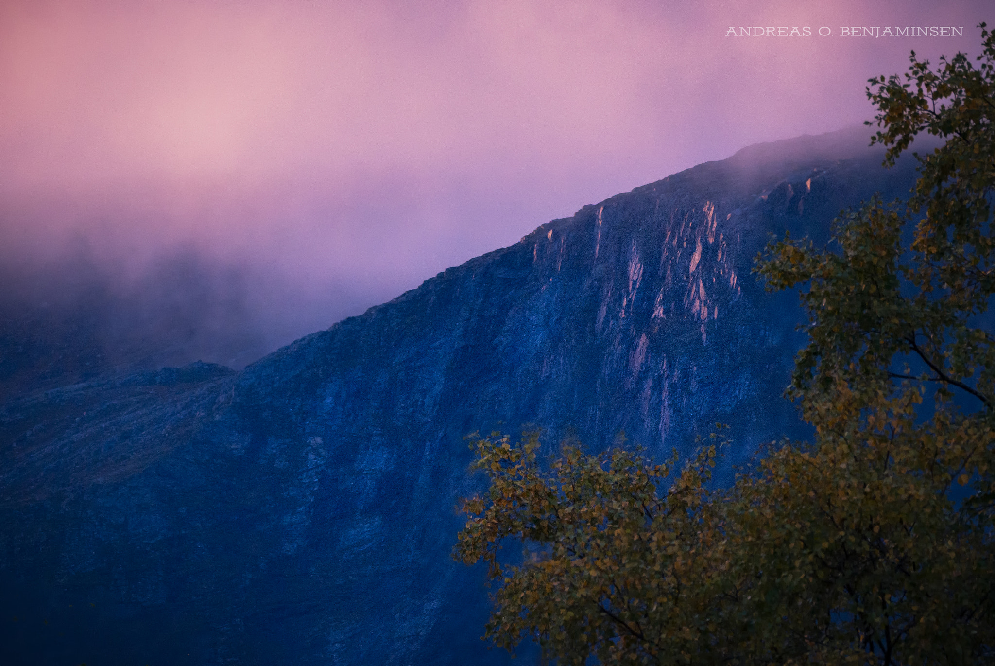 Sigma 150-600mm F5-6.3 DG OS HSM | S sample photo. Sunrise photography