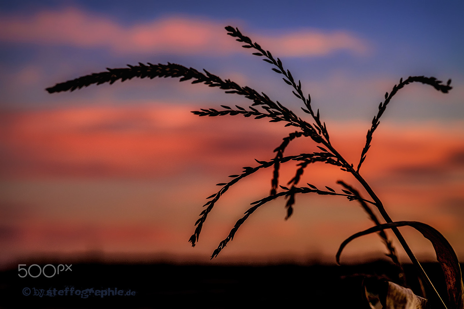 Fujifilm X-T1 sample photo. Dreaming nature photography