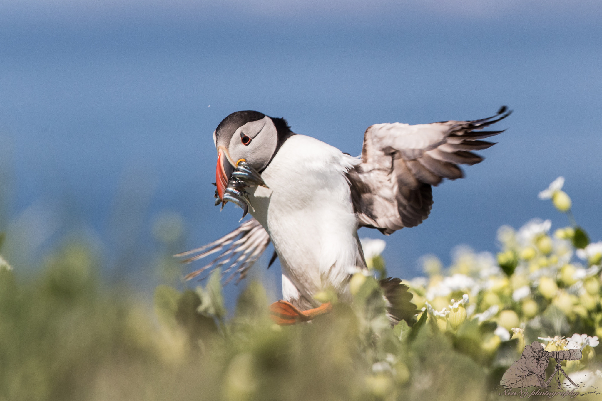 Canon EF 300mm F2.8L IS II USM sample photo. Neo_1745-2.jpg photography