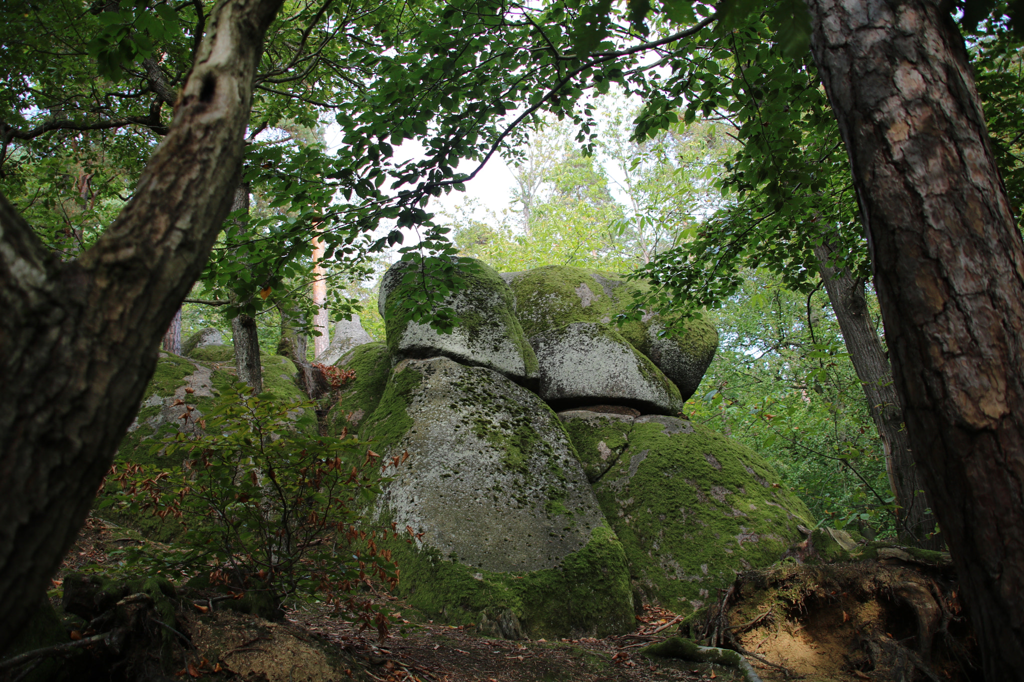 Canon EOS 750D (EOS Rebel T6i / EOS Kiss X8i) + Canon TS-E 90mm F2.8 Tilt-Shift sample photo. Stones in the blackforest photography