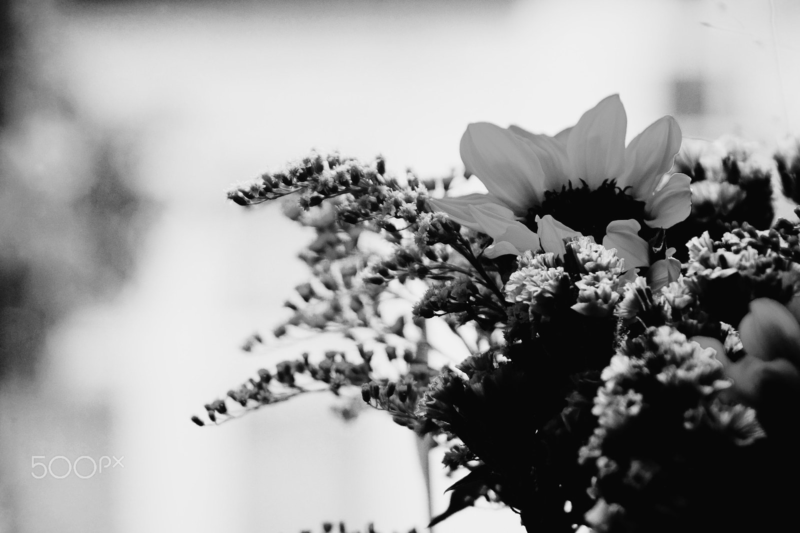 Sony Cyber-shot DSC-RX10 II + Sony 24-200mm F2.8 sample photo. Flowers black and white photography