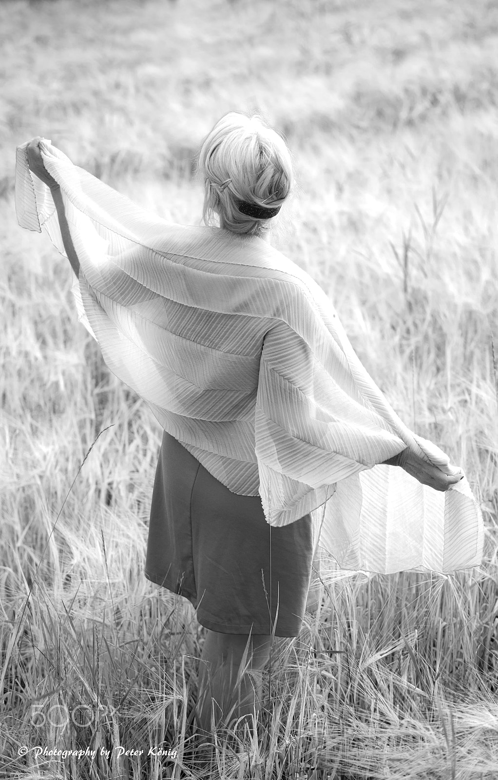 Fujifilm X-Pro1 sample photo. Lady in cornfield photography