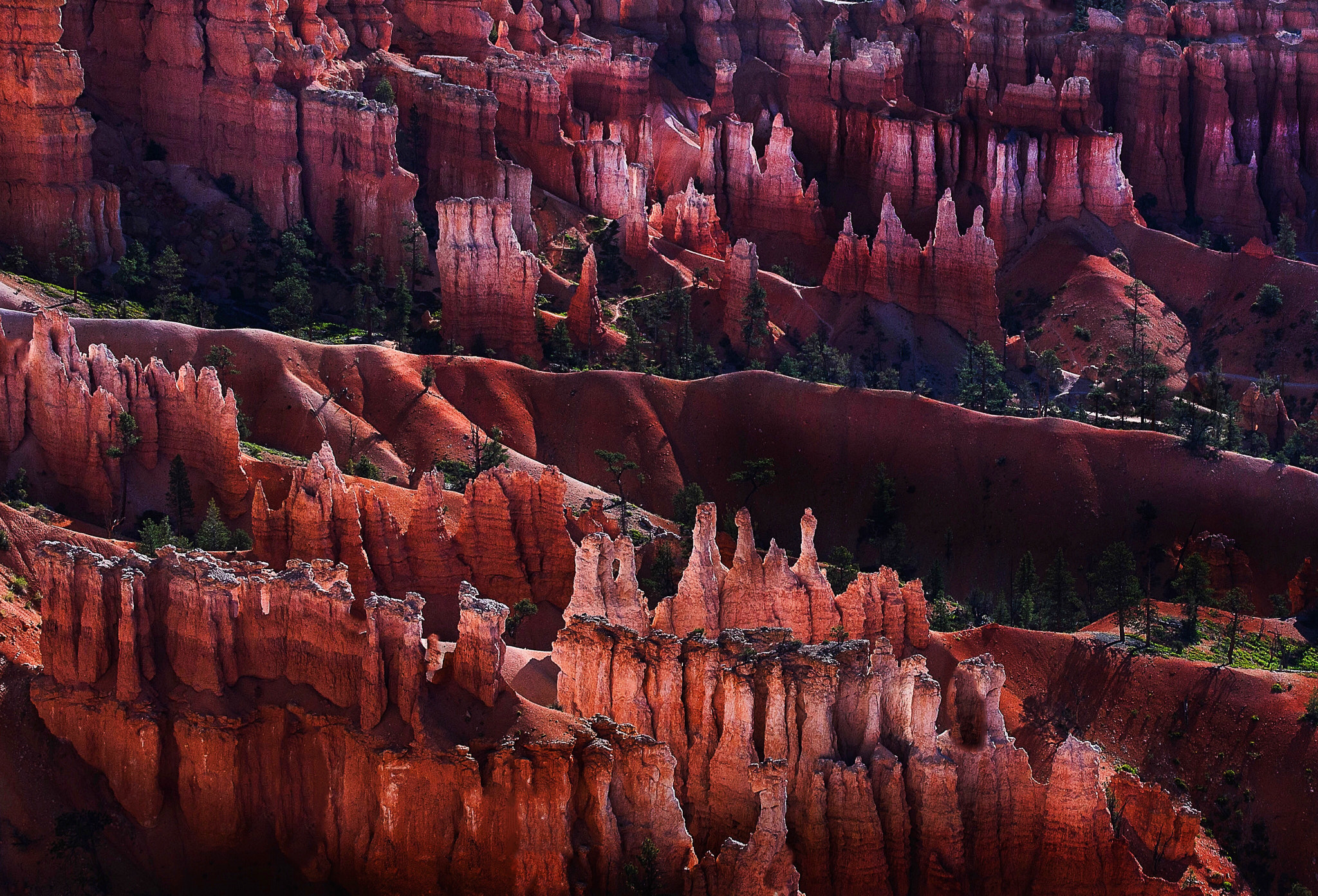Sigma 24-70mm F2.8 EX DG Macro sample photo. Bryce canyon colors photography