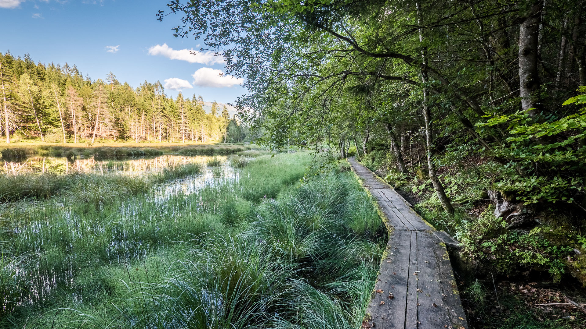 Panasonic Lumix G Vario 7-14mm F4 ASPH sample photo. Der alte see photography