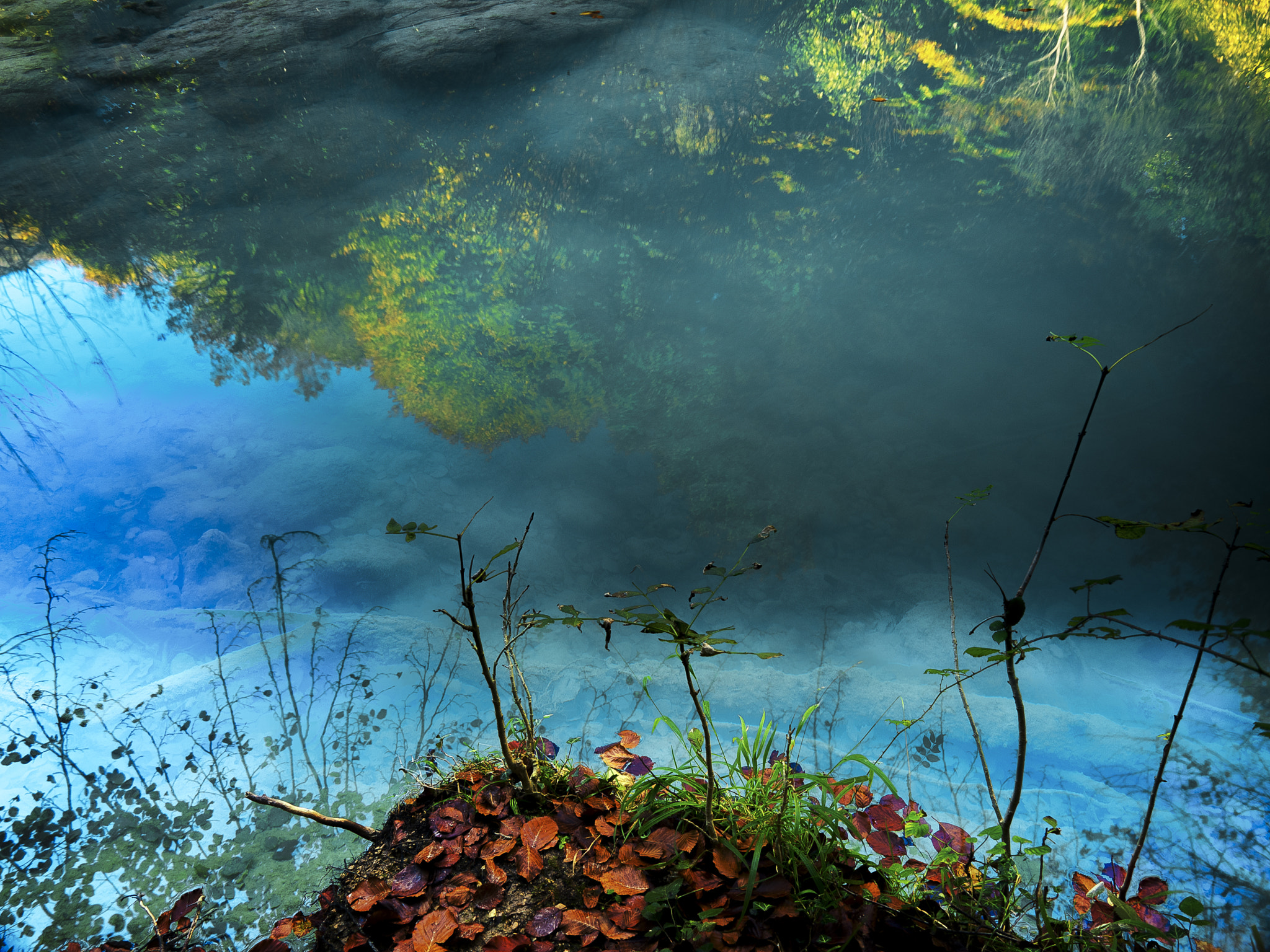 Olympus OM-D E-M1 sample photo. 'the urederra's colors' photography