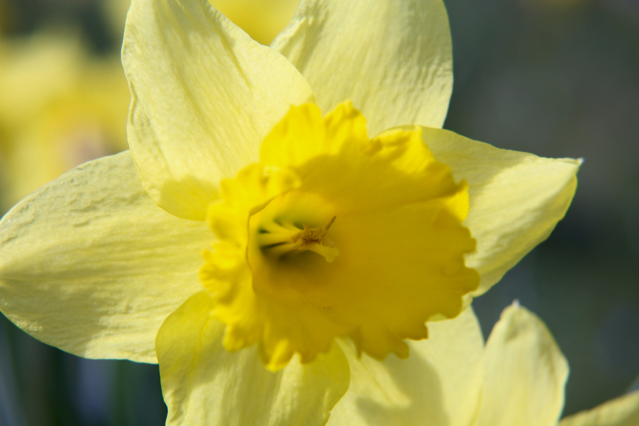Sigma 50-200mm F4-5.6 DC OS HSM sample photo. Img photography