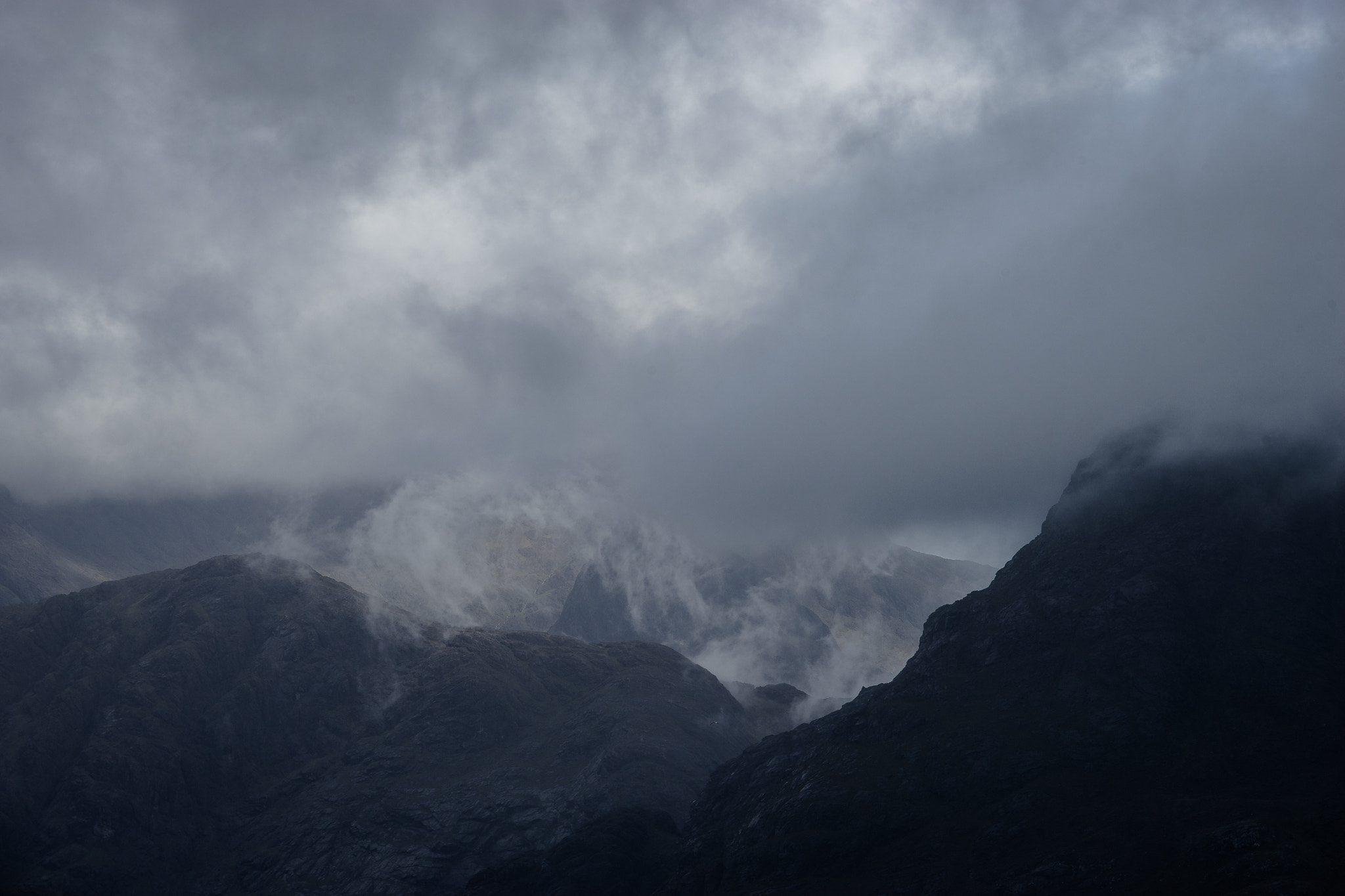 Sony a7 II + Canon EF 70-200mm F4L IS USM sample photo. -shades of grey- photography