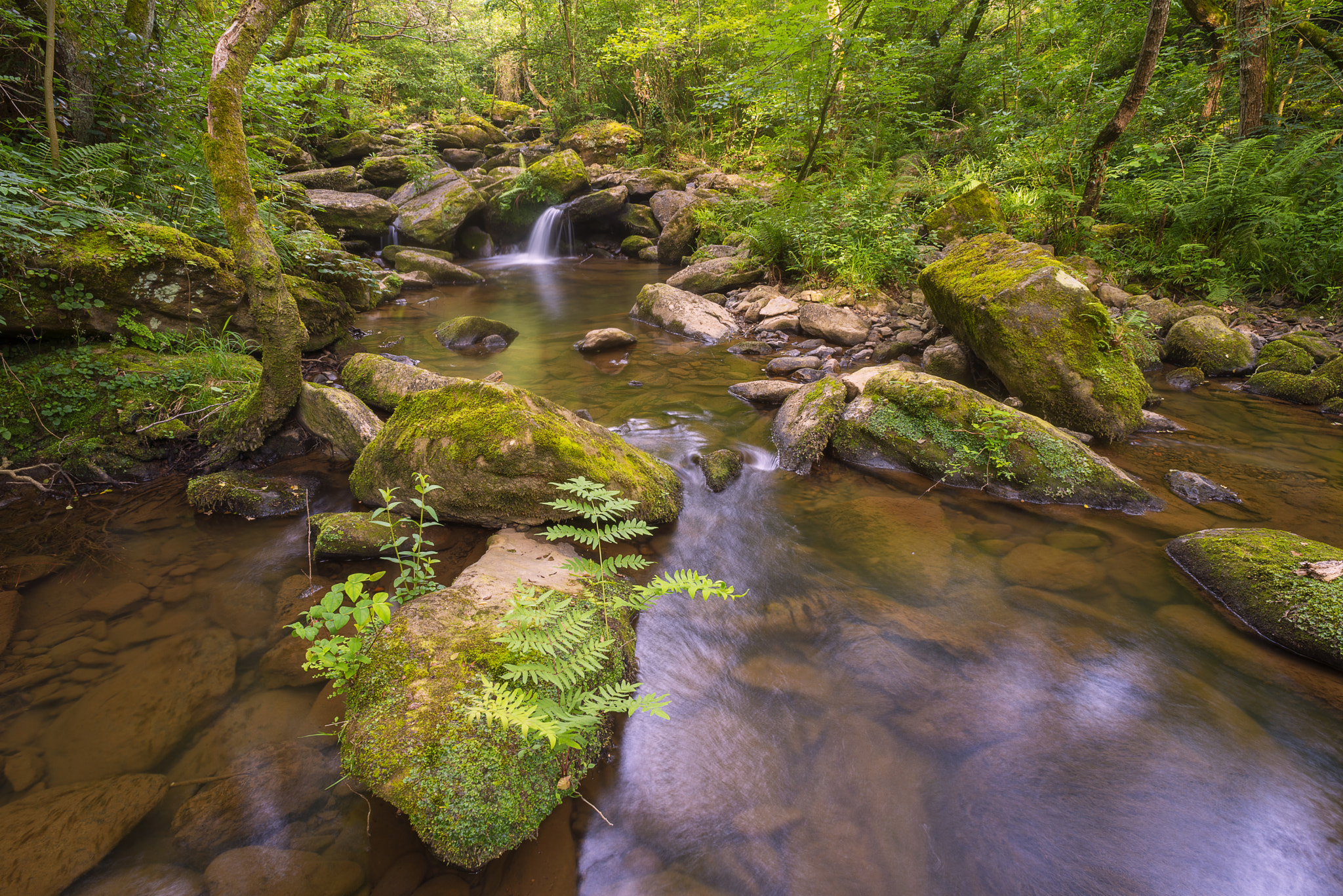 Nikon D610 + Nikon AF Nikkor 20mm F2.8D sample photo. Small river fall photography