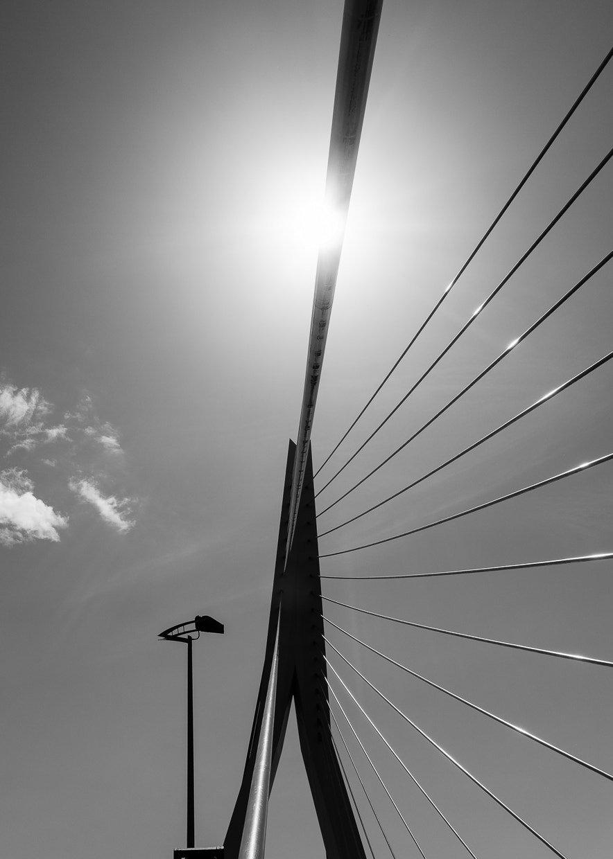 Fujifilm X-E1 sample photo. Erasmusbrug photography