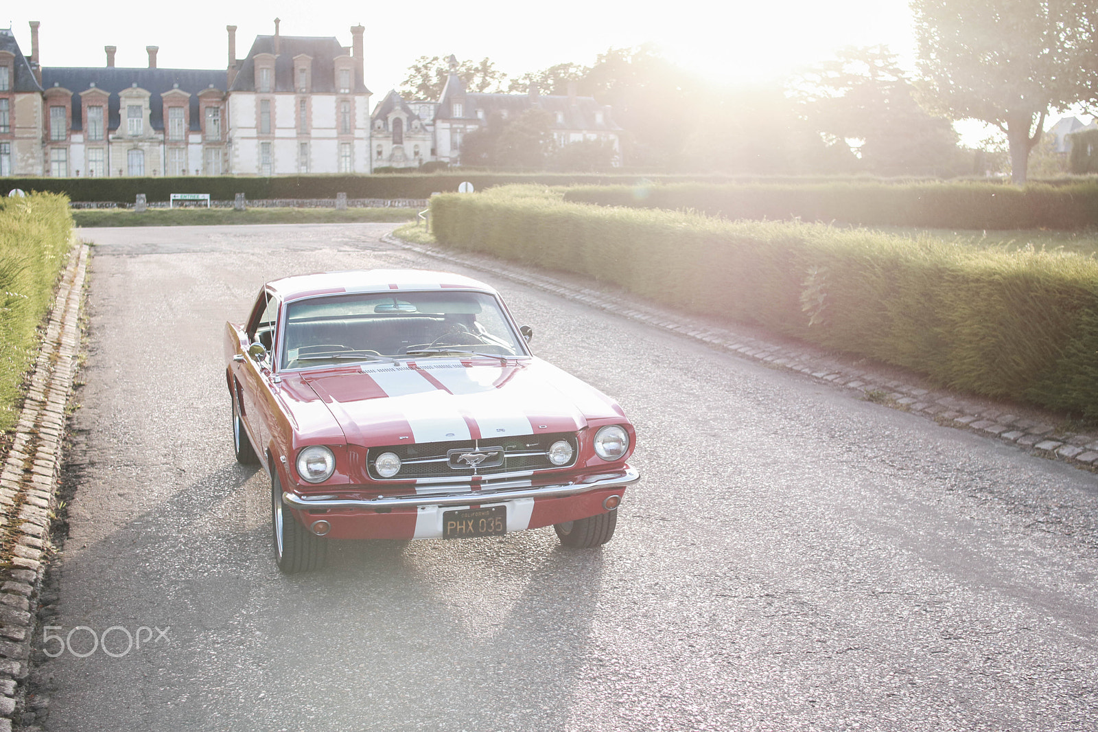 Sigma 30mm F1.4 EX DC HSM sample photo. Mustang in thoiry photography