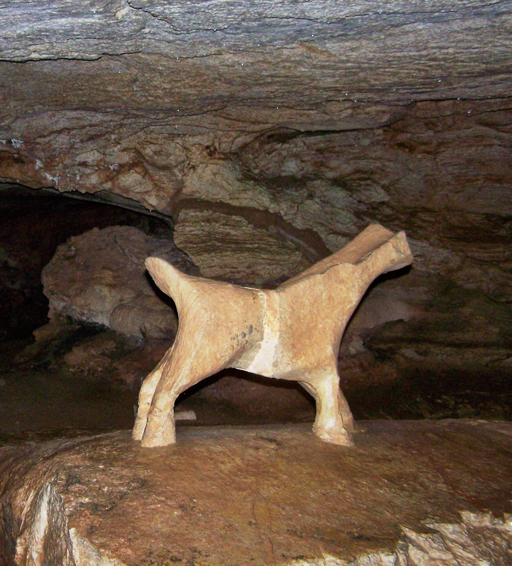 Kodak EASYSHARE Z710 ZOOM DIGITAL CAMERA sample photo. Longhorn cavern state park photography