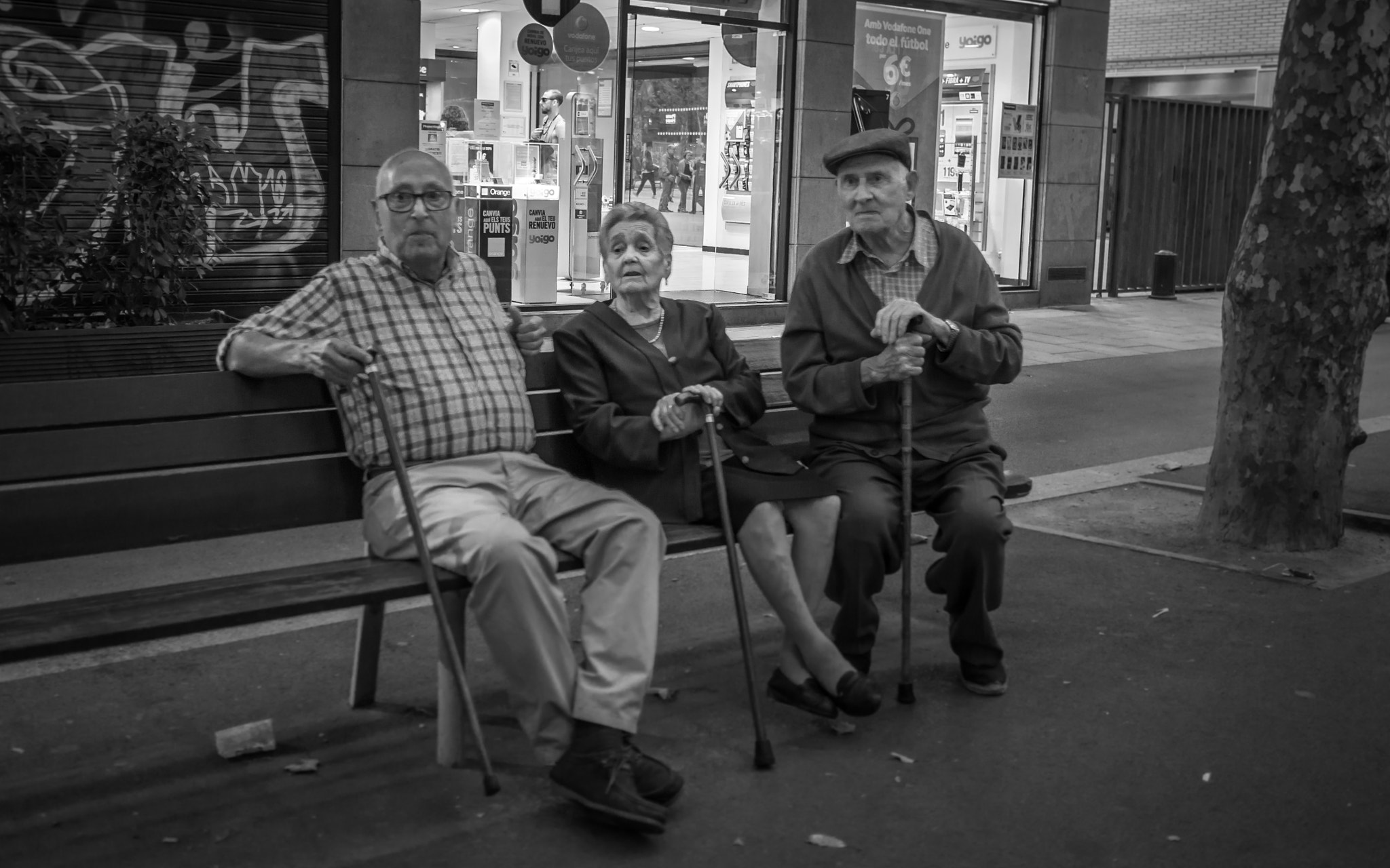 Olympus OM-D E-M10 II + Olympus M.Zuiko Digital 17mm F1.8 sample photo. The evening watchers photography