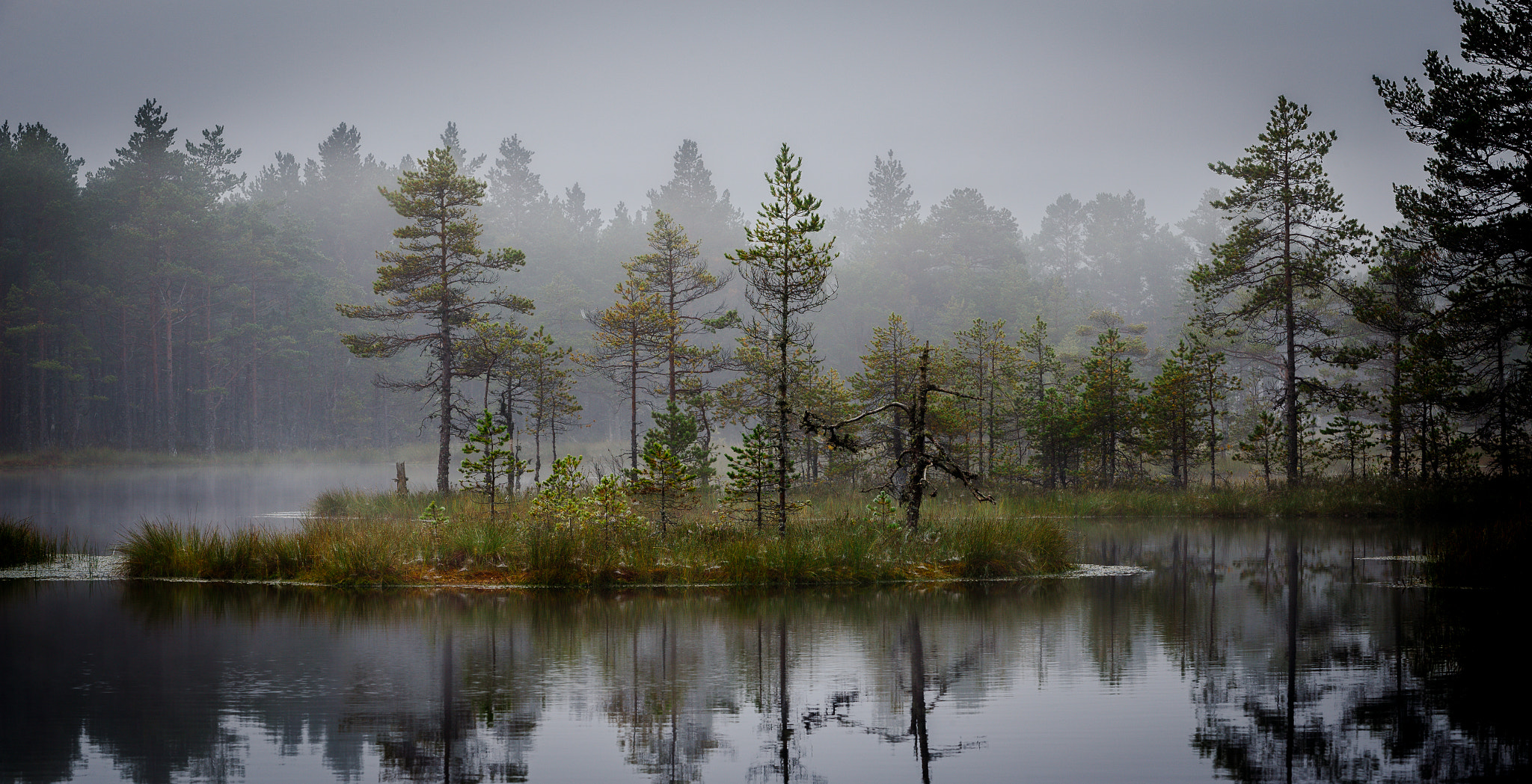 Canon EF 70-200mm F2.8L USM sample photo. Mist'y morning at bog photography