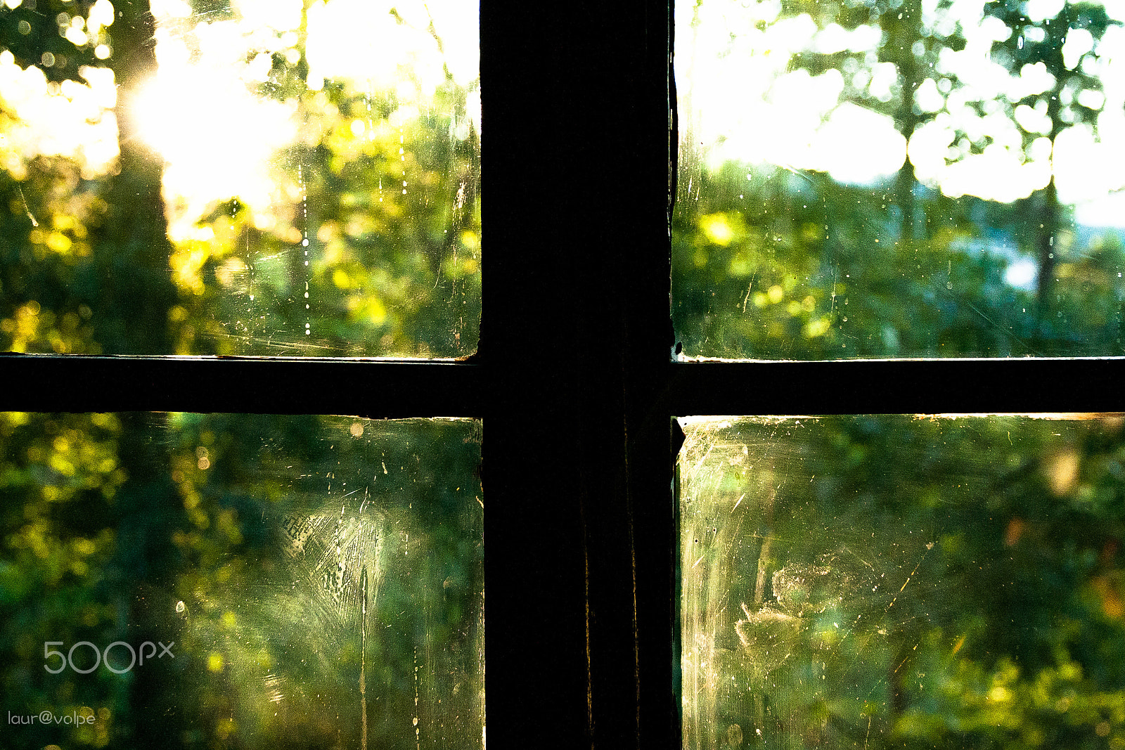 Sigma 17-70mm F2.8-4 DC Macro OS HSM sample photo. My hidden corner photography