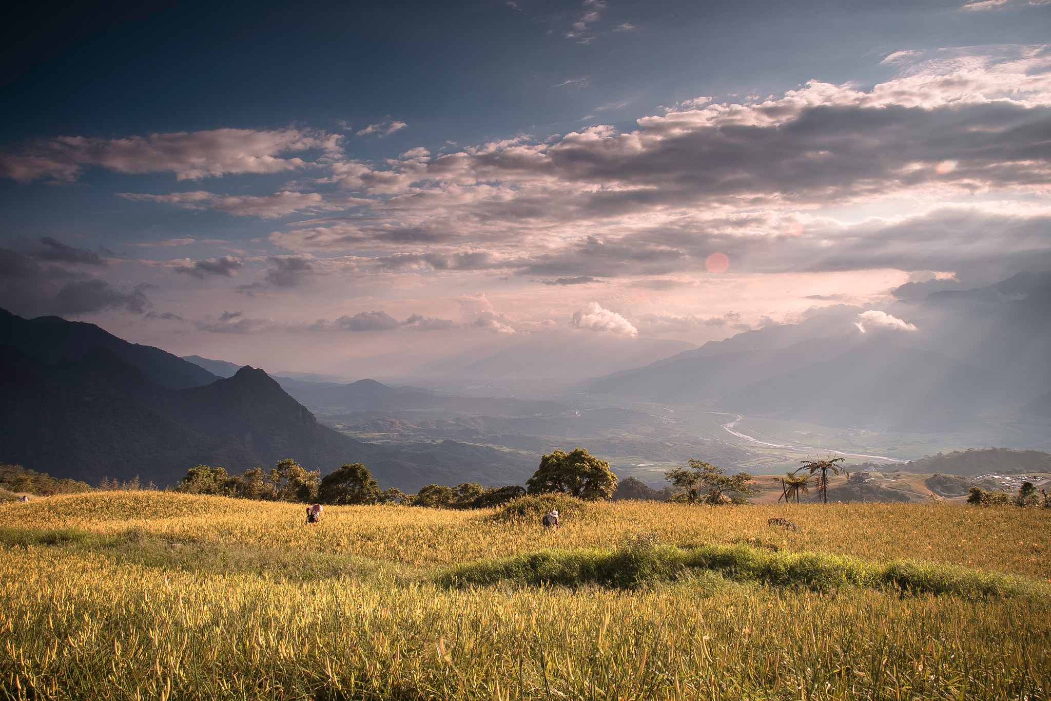 Canon EOS 6D + Sigma 24mm f/1.8 DG Macro EX sample photo. 風景 photography