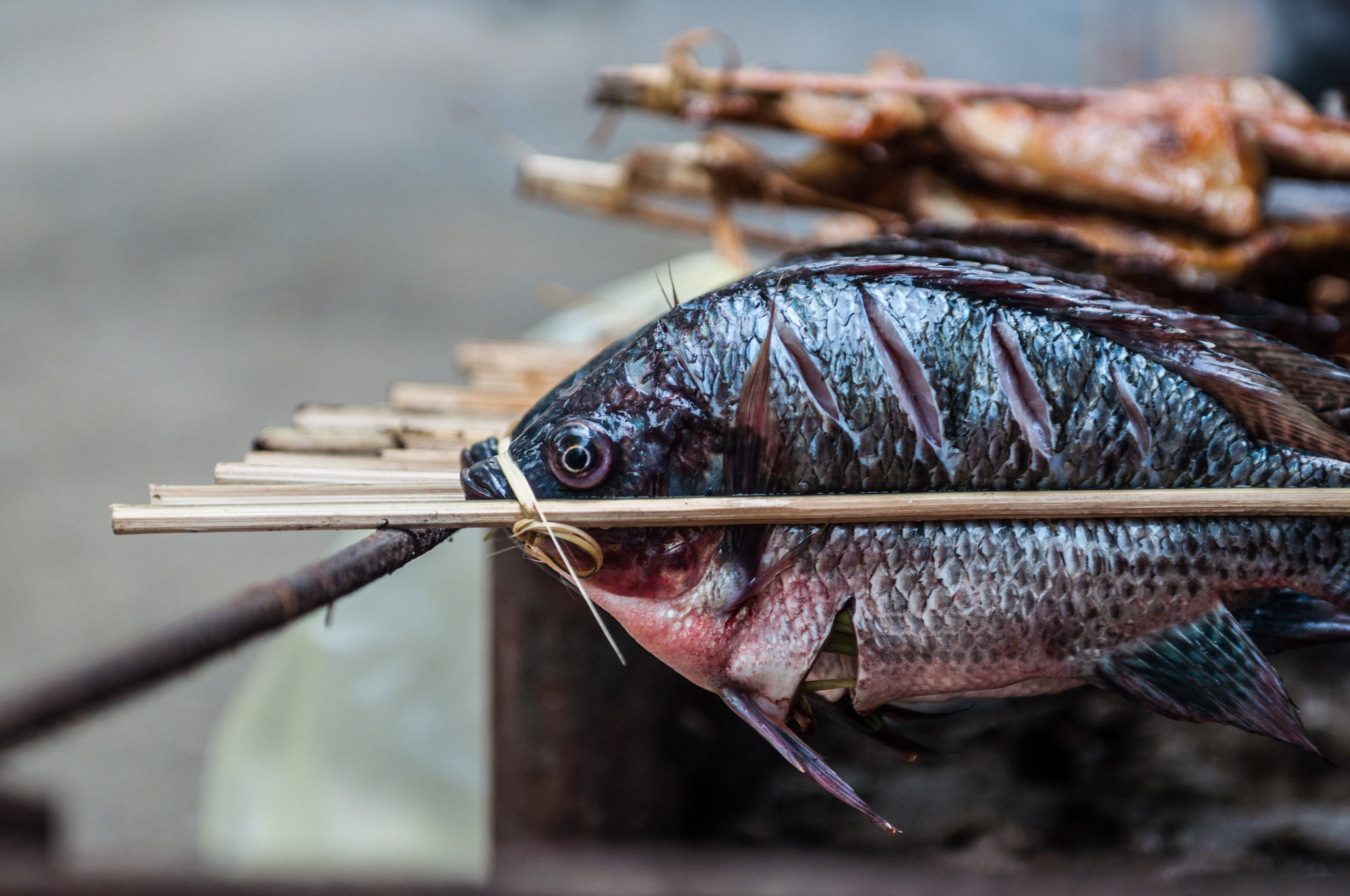 Nikon D5000 sample photo. Fish and chips photography