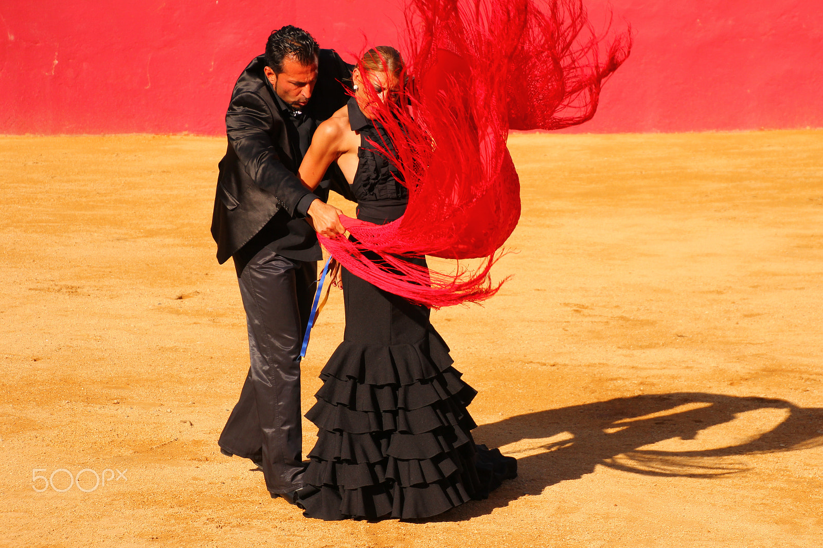 Canon EOS 60D sample photo. Flamenco photography