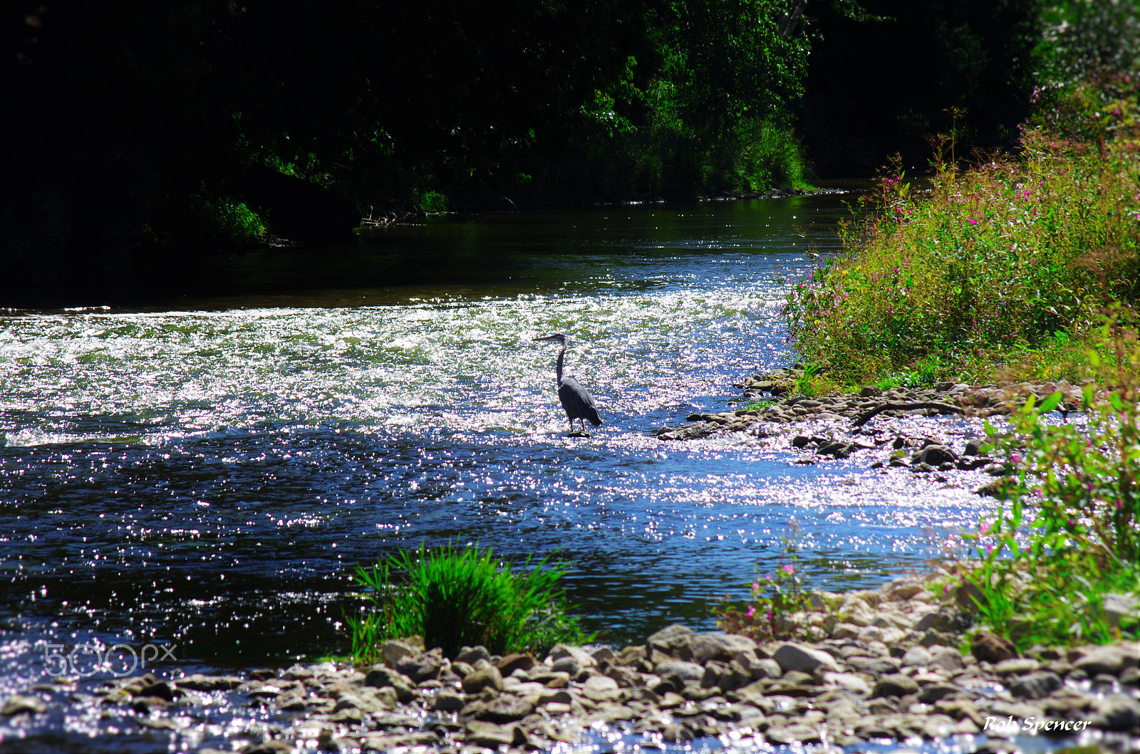 Pentax K-5 sample photo. Fishin' photography