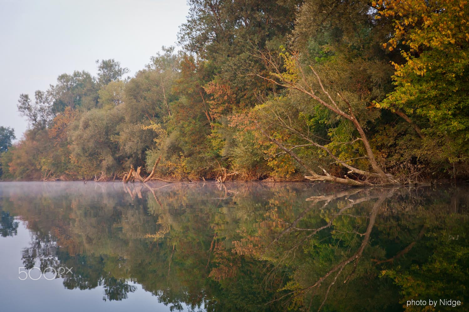 Canon EOS-1Ds Mark II sample photo. River kupa photography